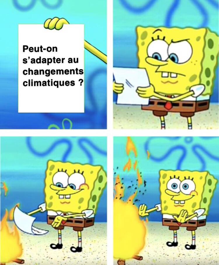 1556829235294-3-meme