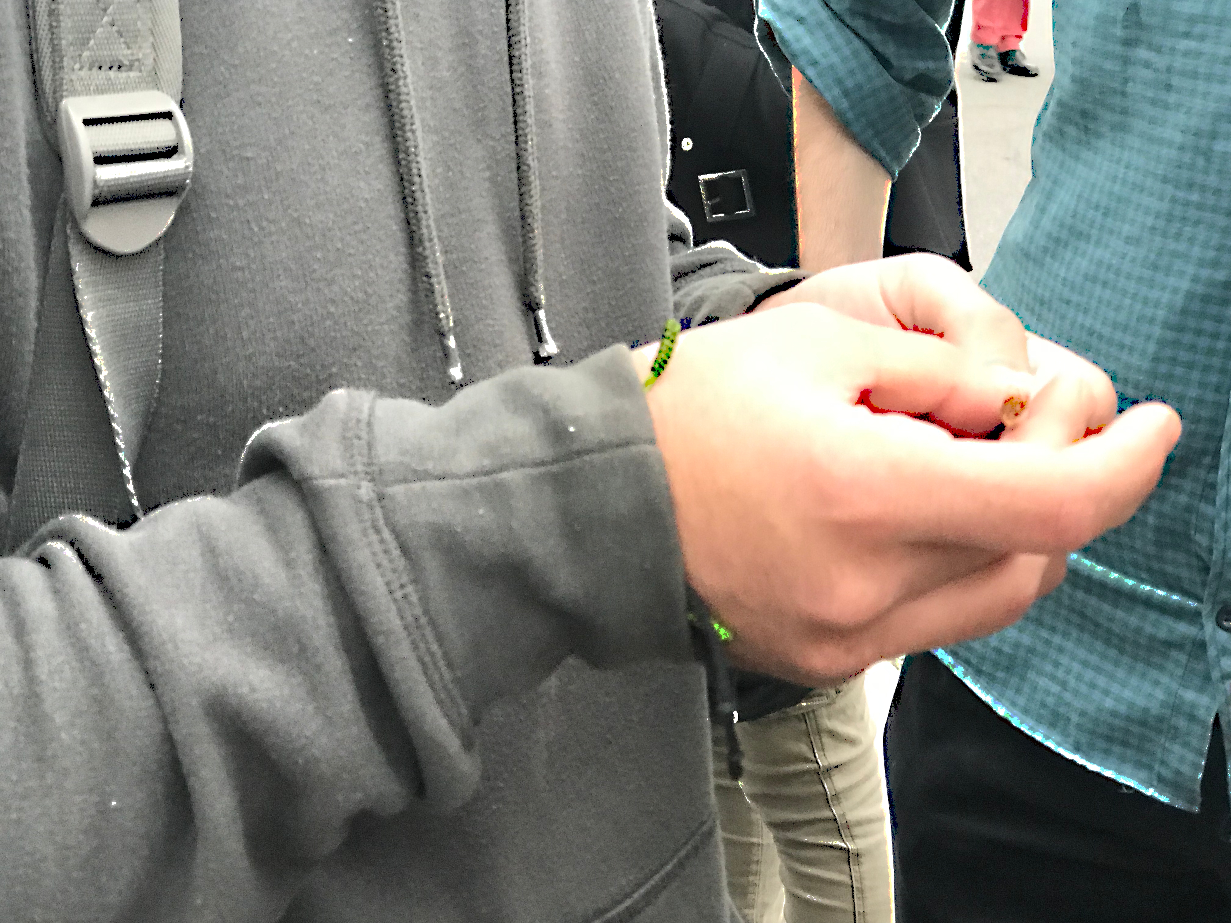 1556998016561-IMG_0187