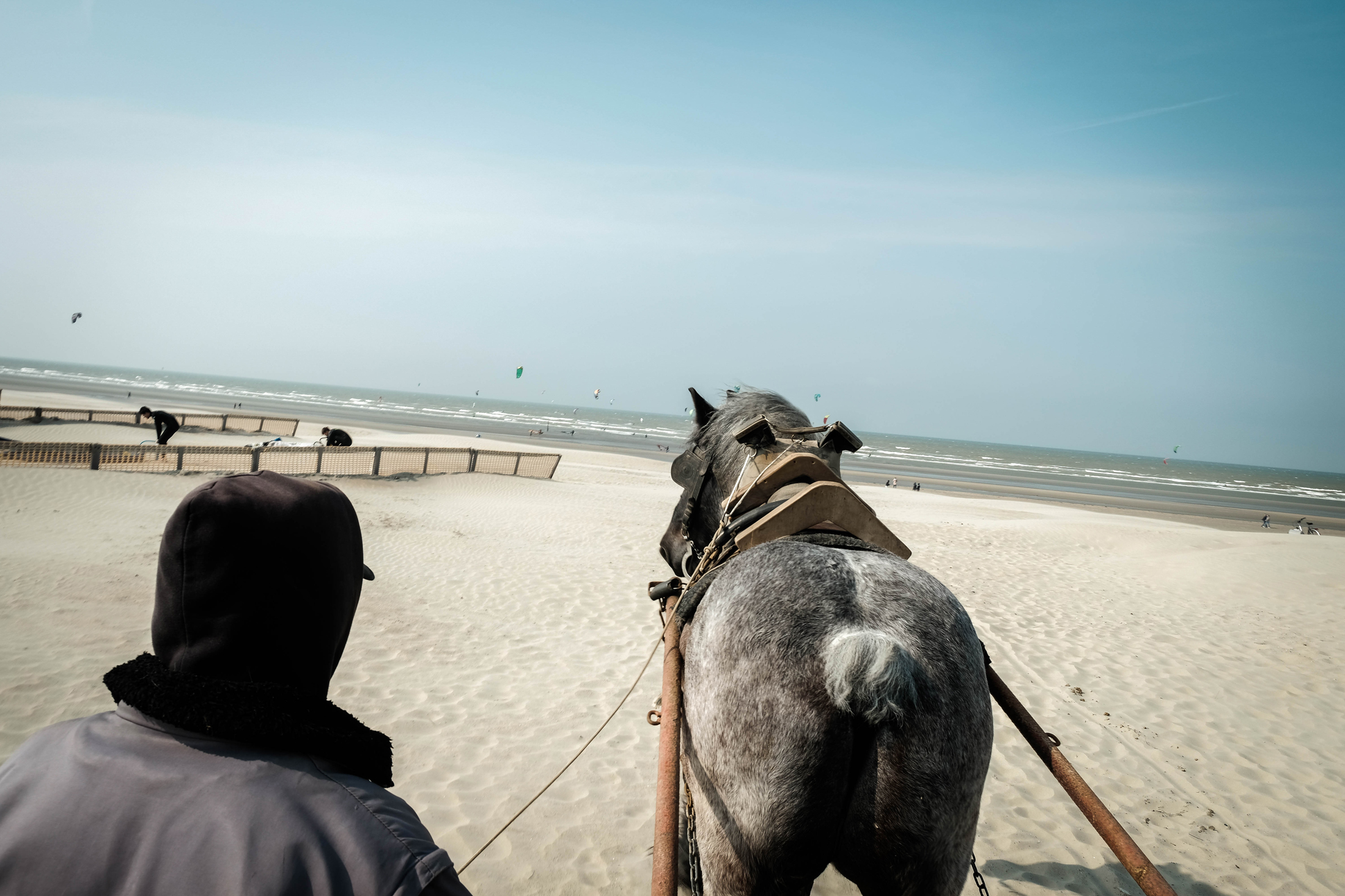 1557134774570-Crevette-Grise-Plage-11