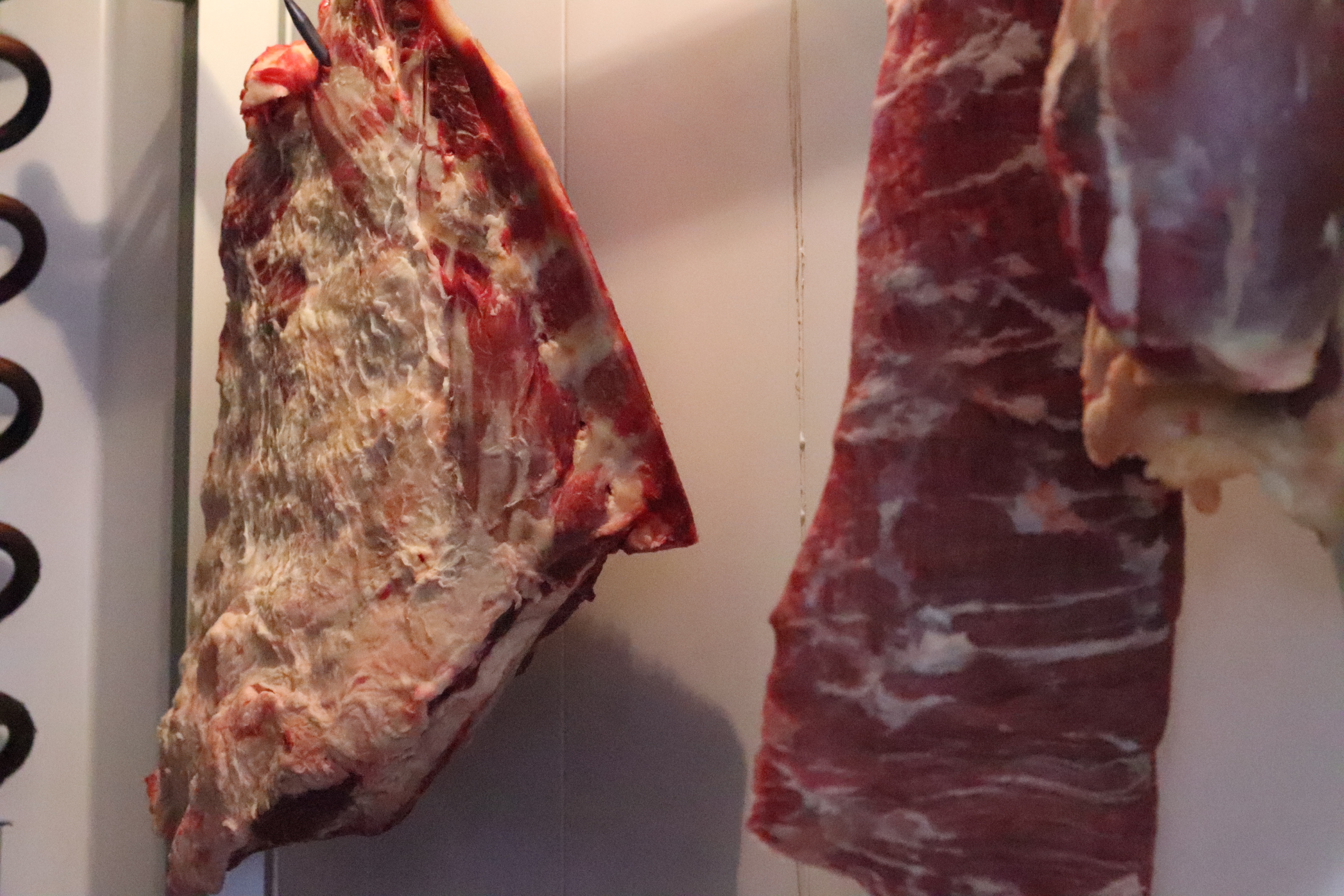 Carne-equina