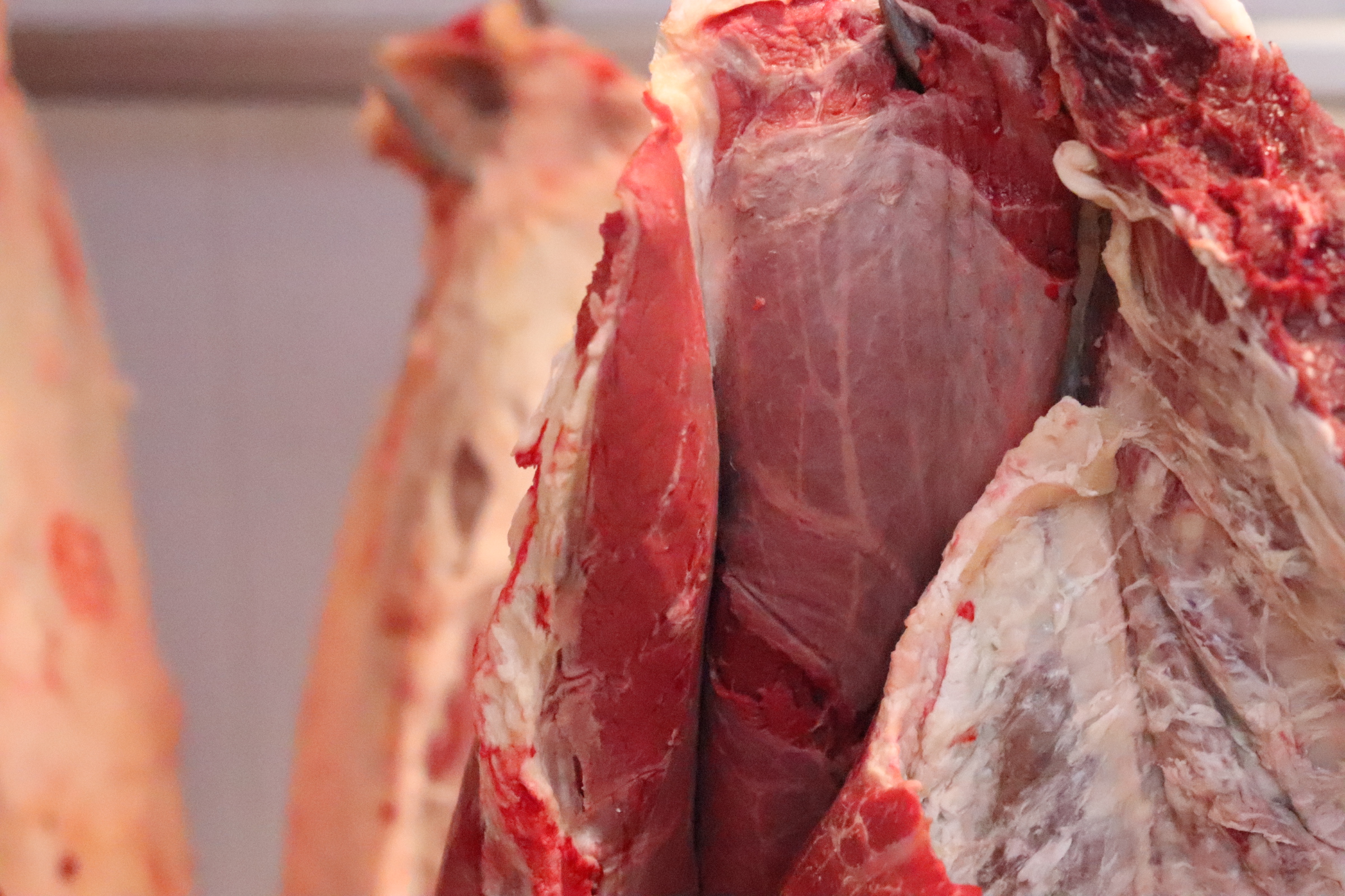 Carne-equina-laterza