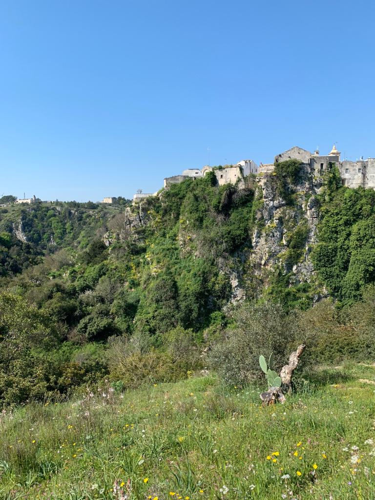 Laterza