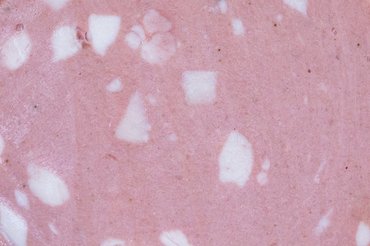 Mortadella-Close-Up