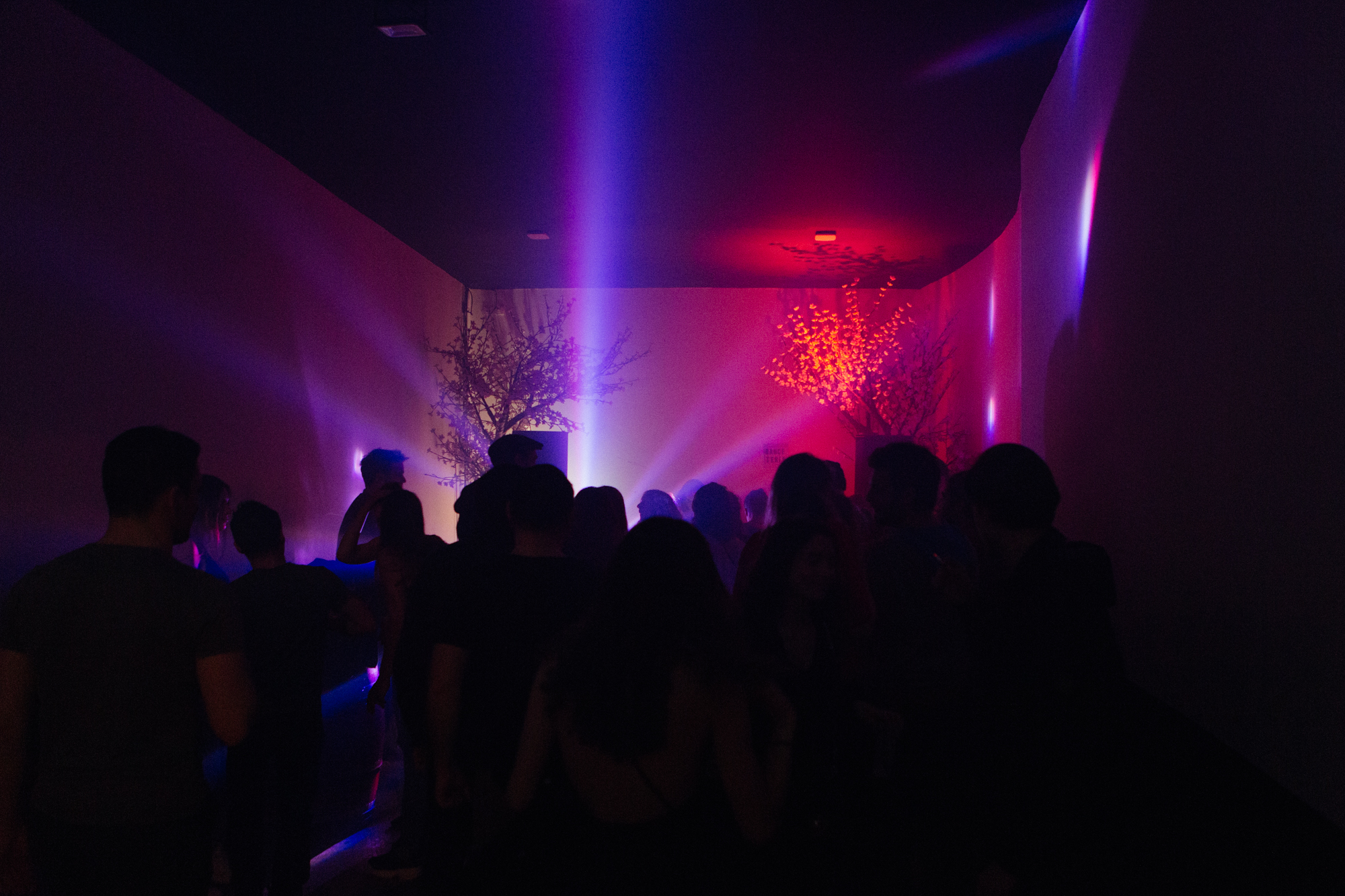 1558890867408-DANCETERIA_0I3A2231