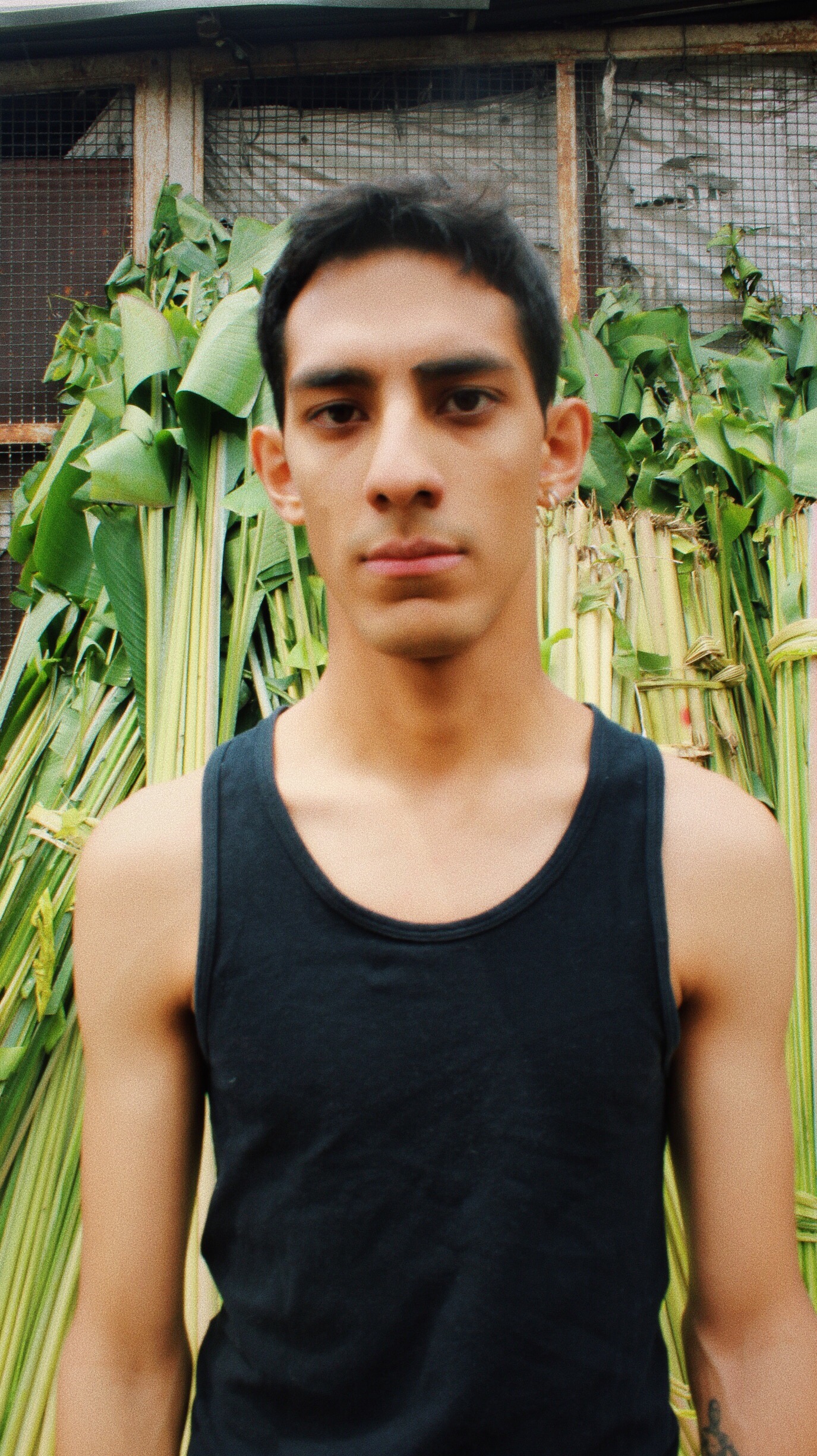 nativo agencia