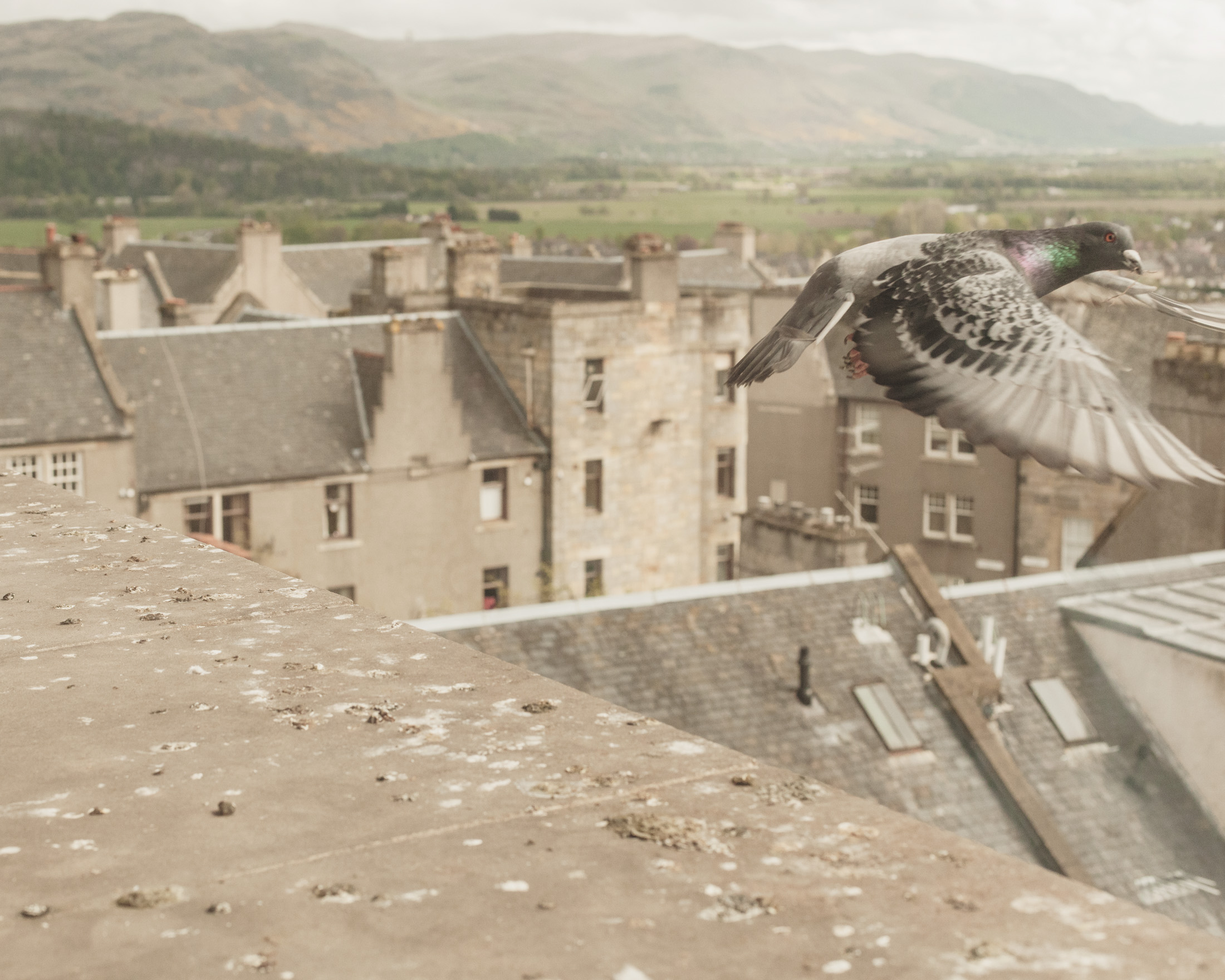 1559055777570-ChrisBethell_jamesgreig-21
