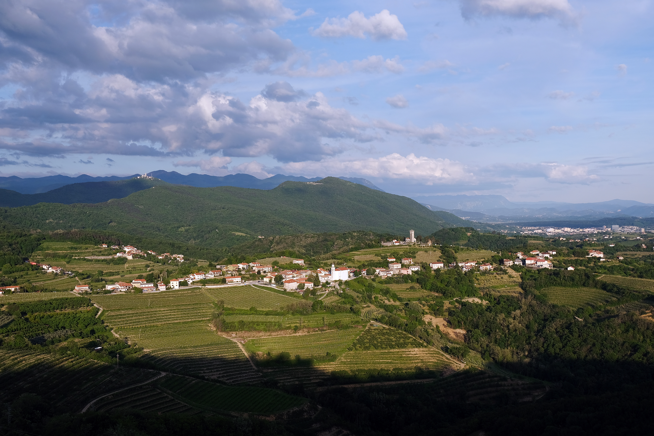 Vista-sul-Collio-col-monte-Sabotino-e-Nova-Gorica-sullo-sfondo