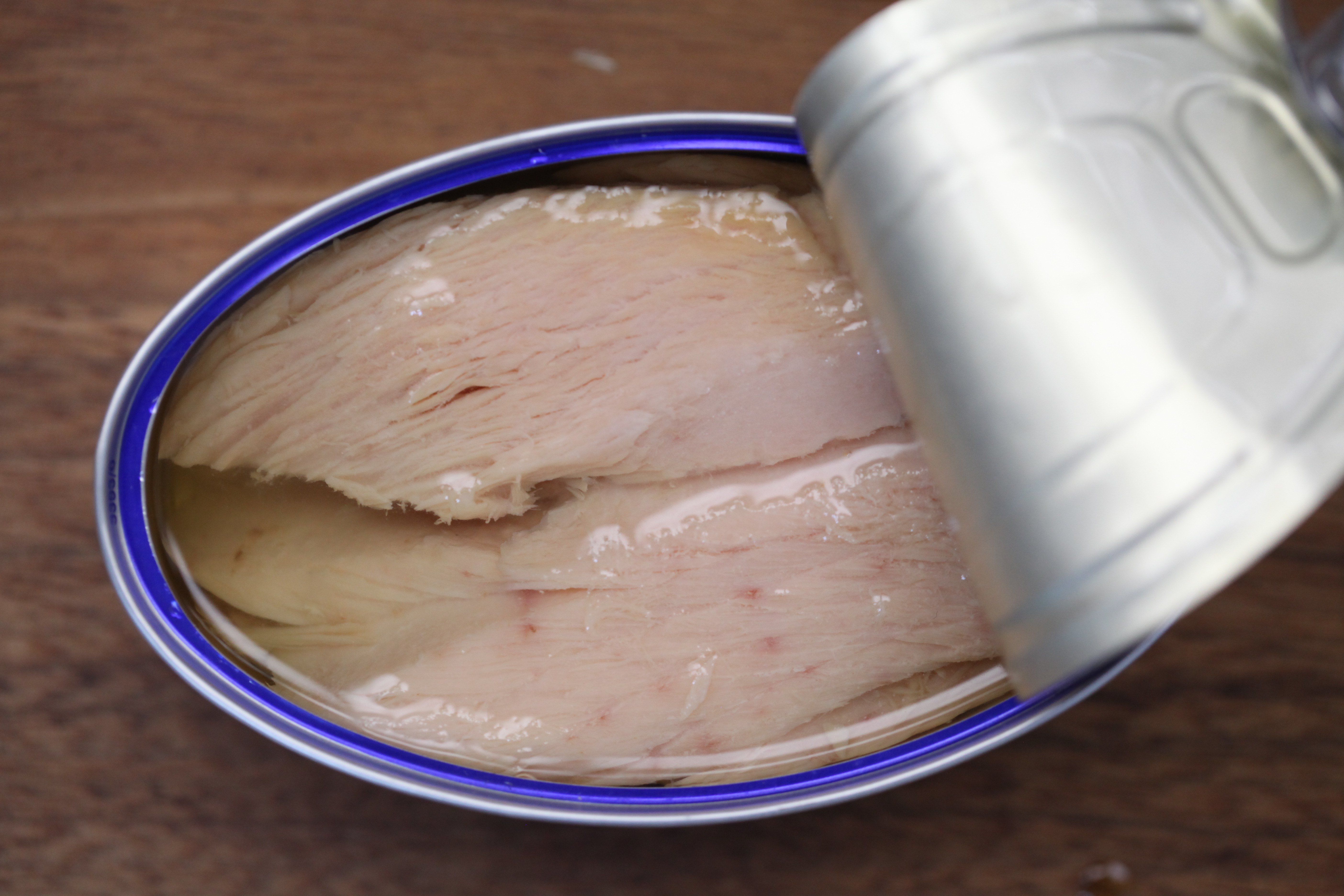 an open blue can of ventresca tuna, an oil-packed tuna that comes from the belly of the tuna