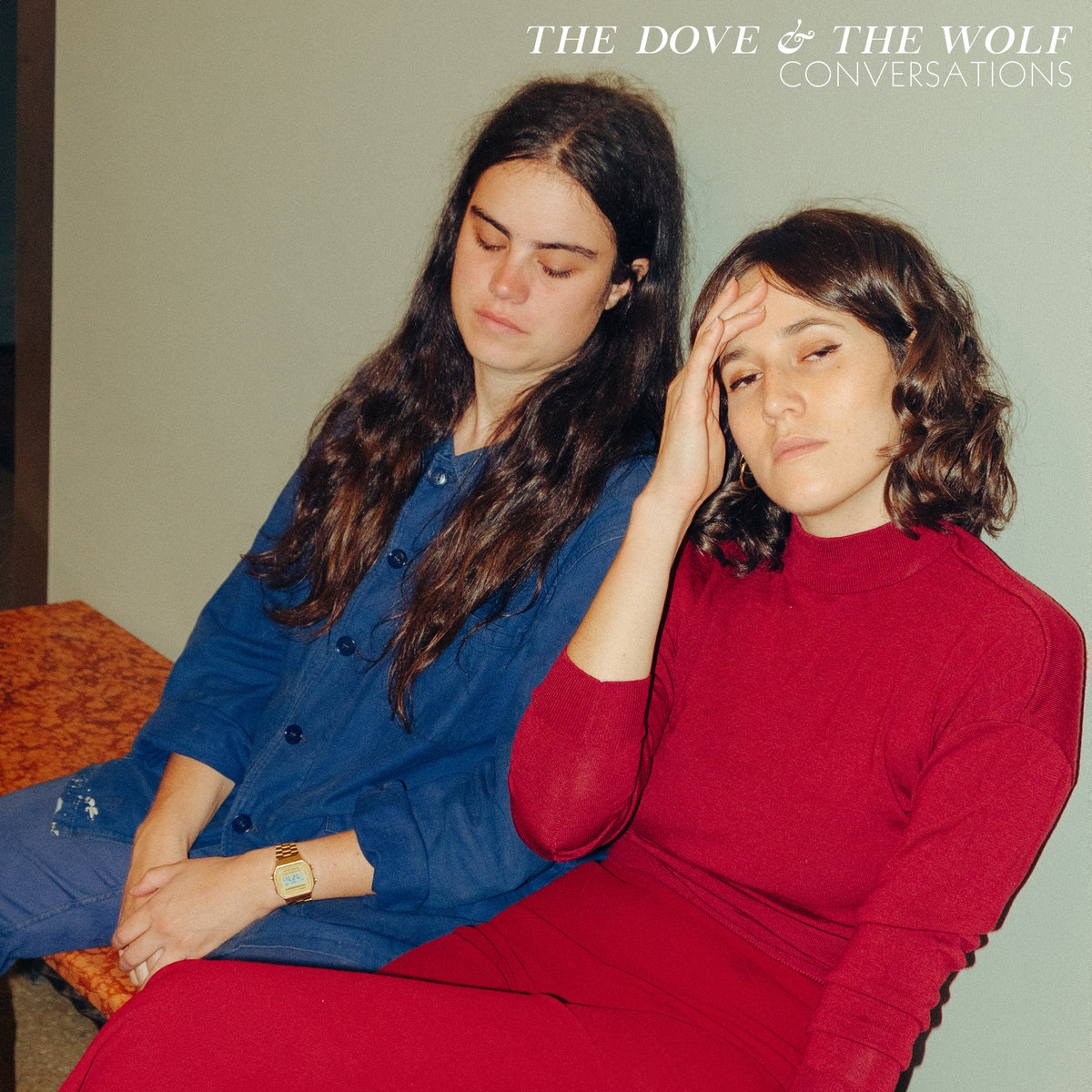 1560369351932-The-Dove-and-the-Wolf