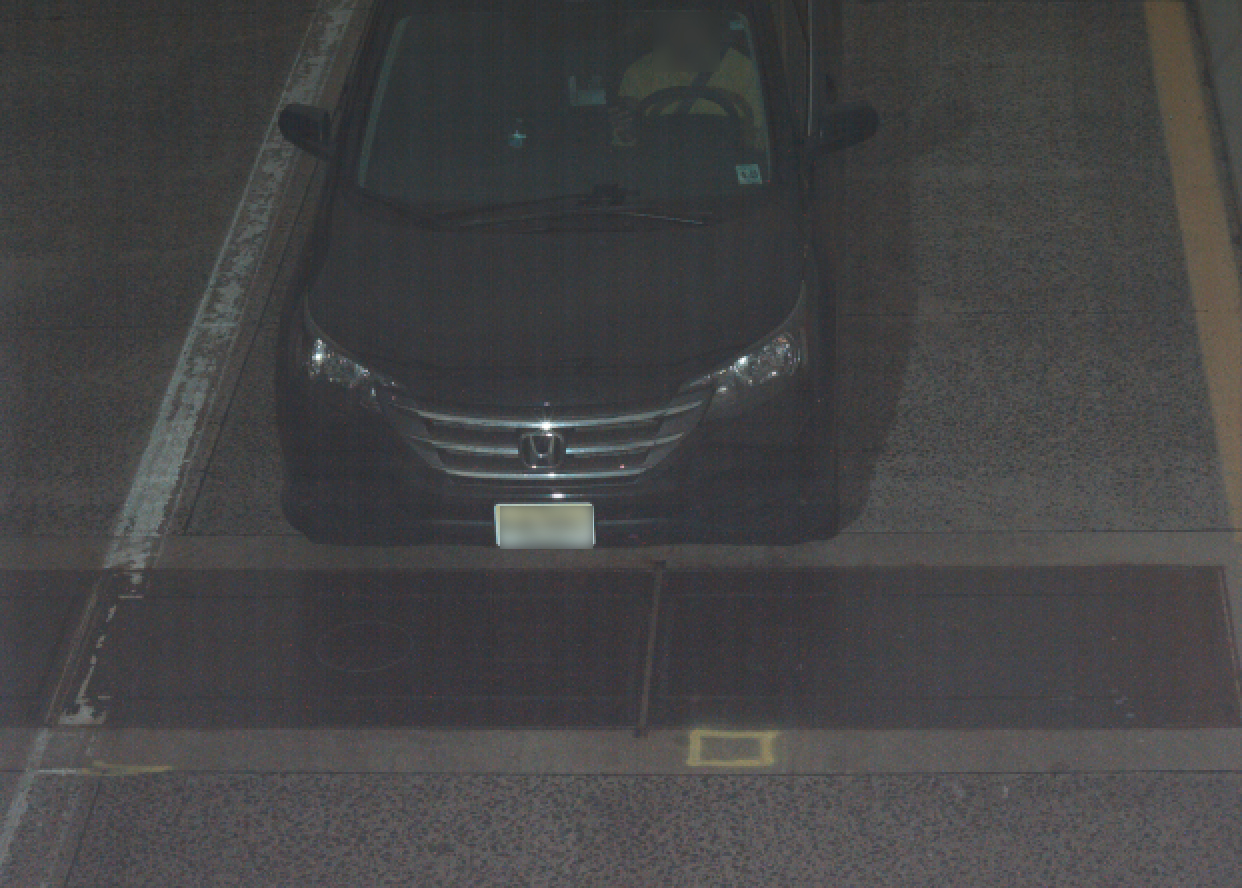 license plate scan