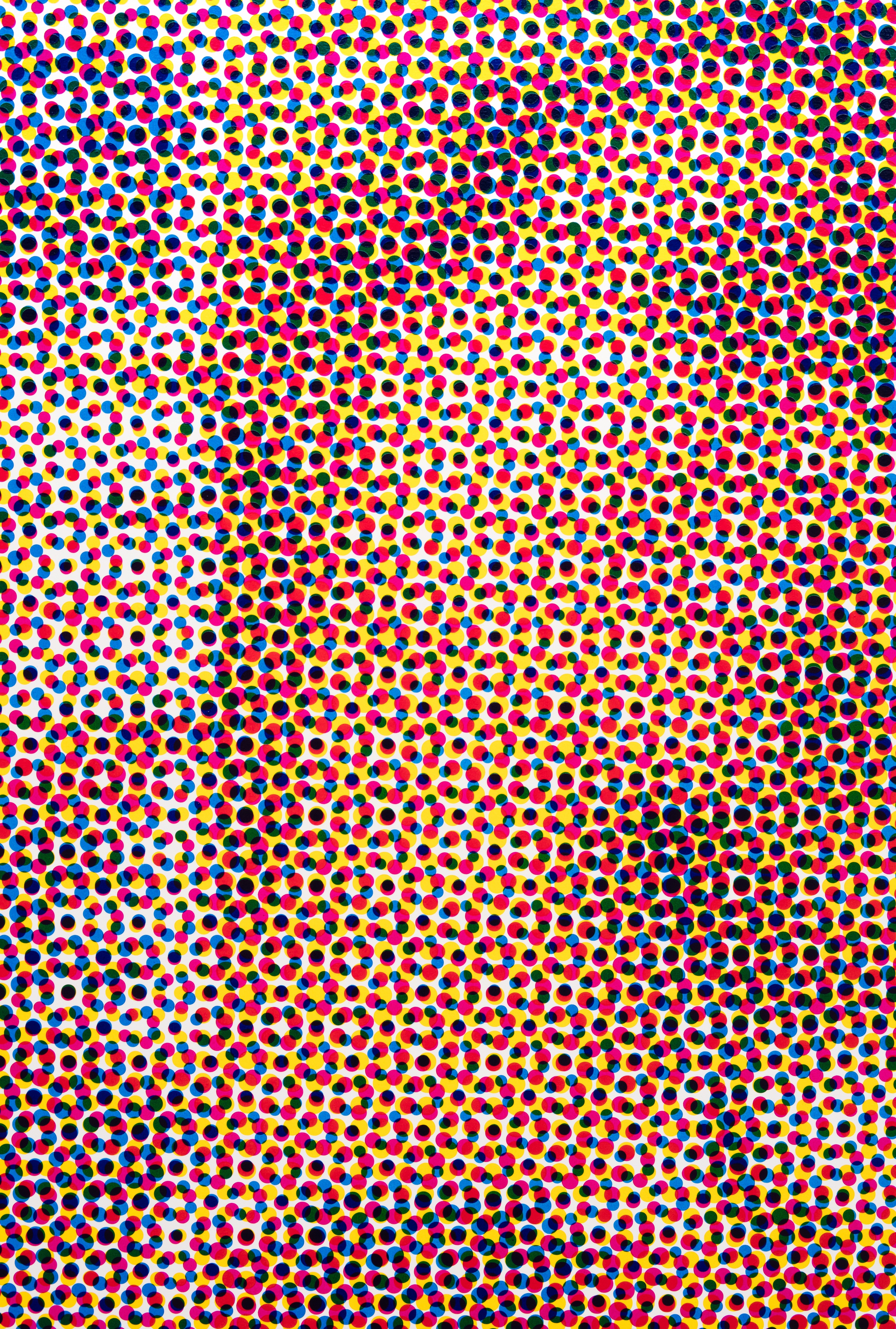 1560458564100-7-Rods_and_Cones_8_15_2017-73