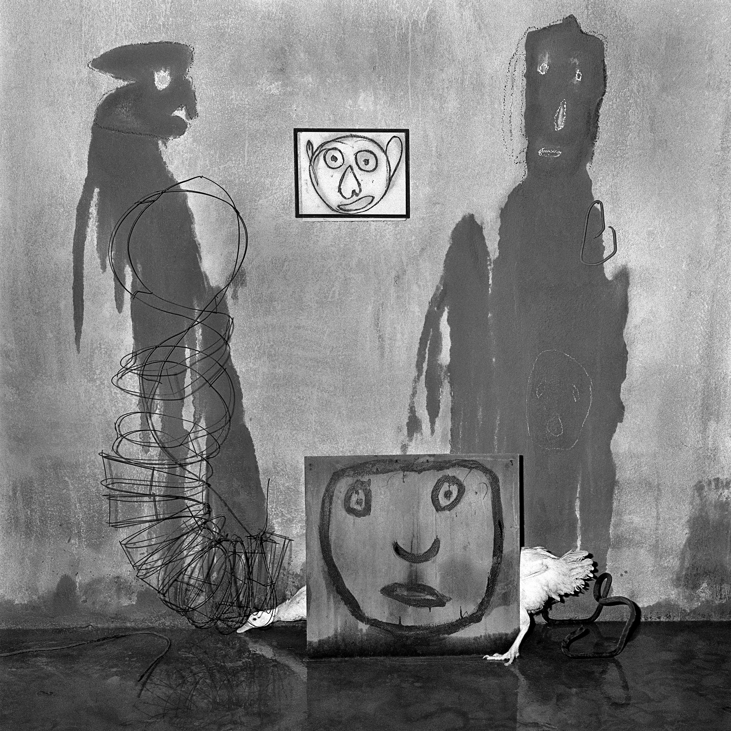 1560795606318-10_Roger-Ballen_Transformation-_2004