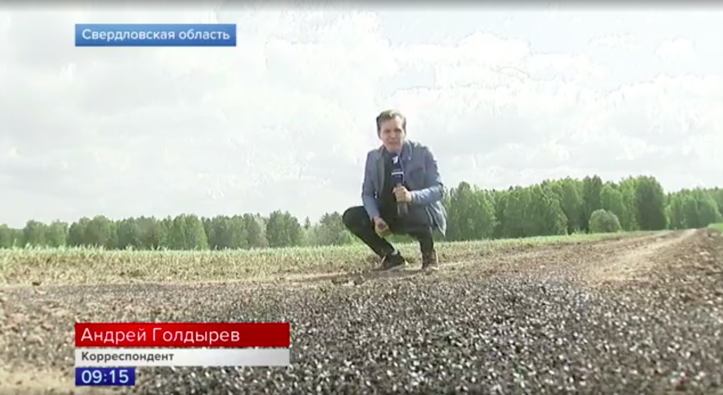 A reporter with Russia's Channel One crouches next to a field of flies.