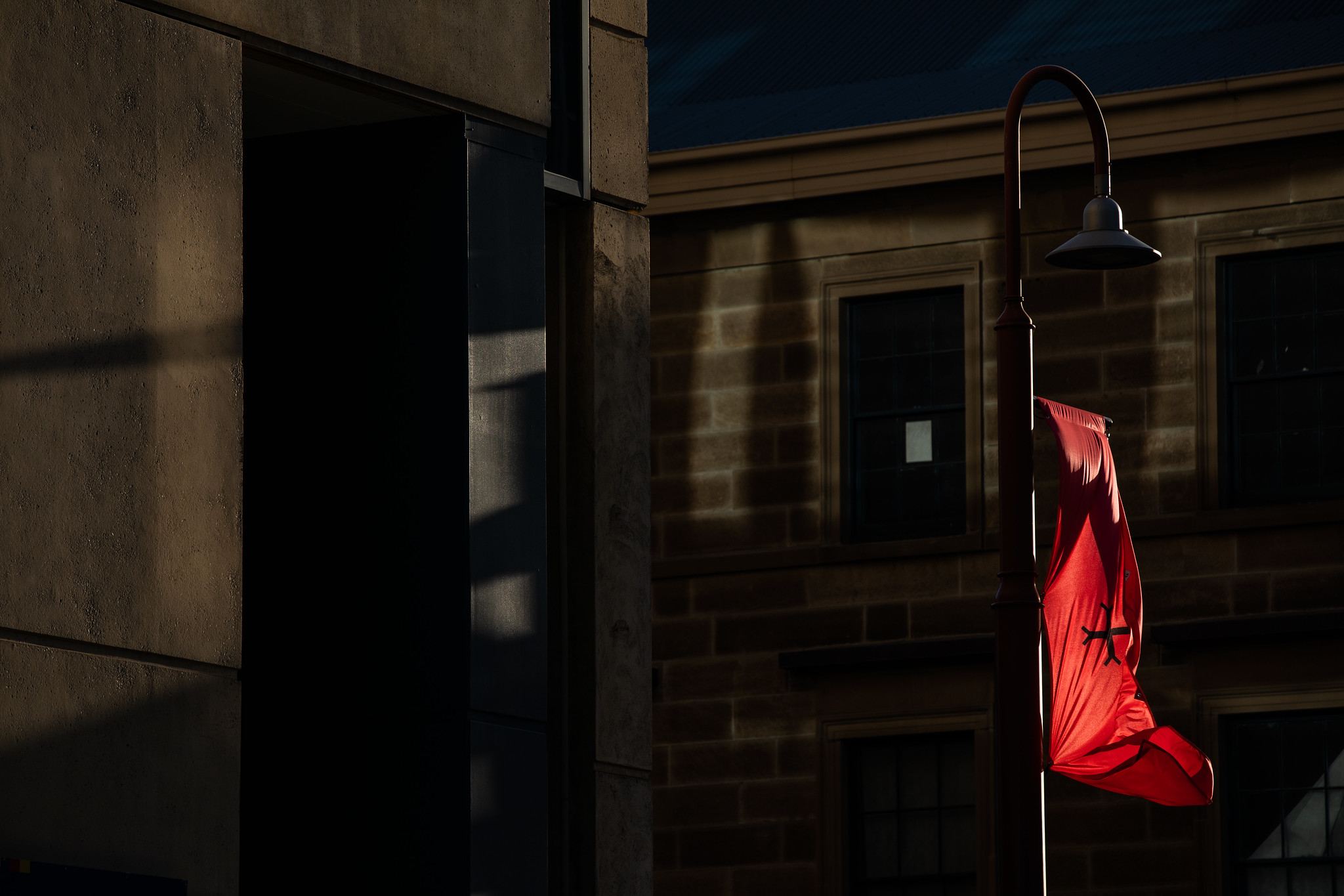 dark mofo review 2019 to see