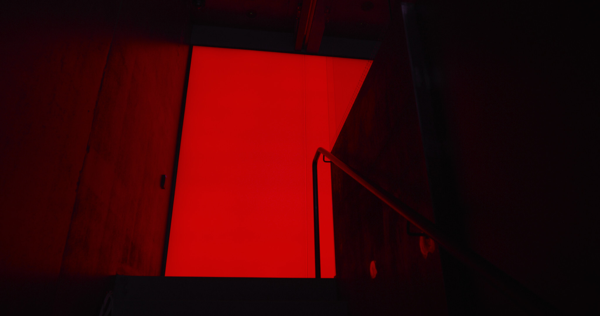dark mofo mona the divine comedy