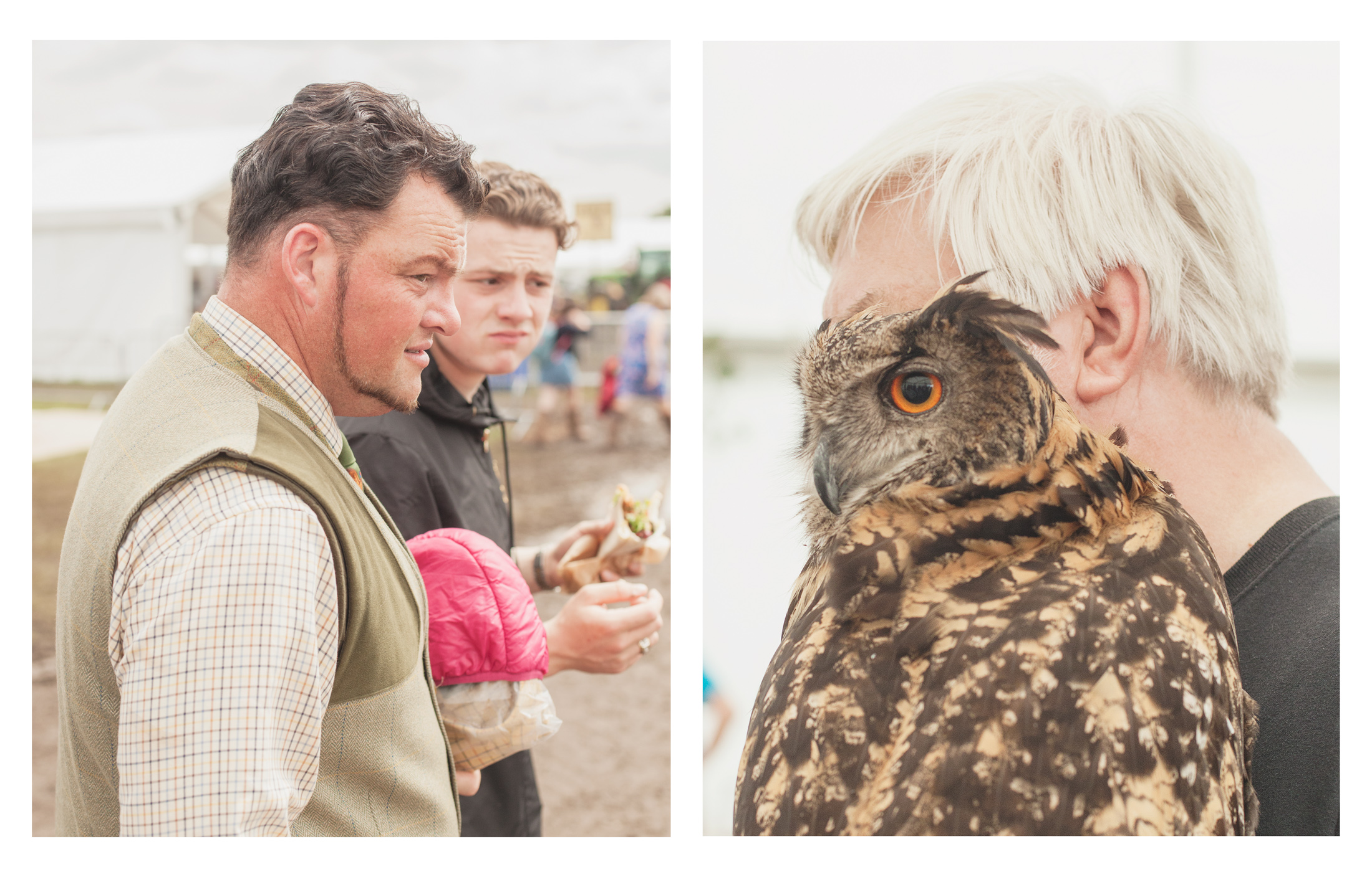royal cheshire county show