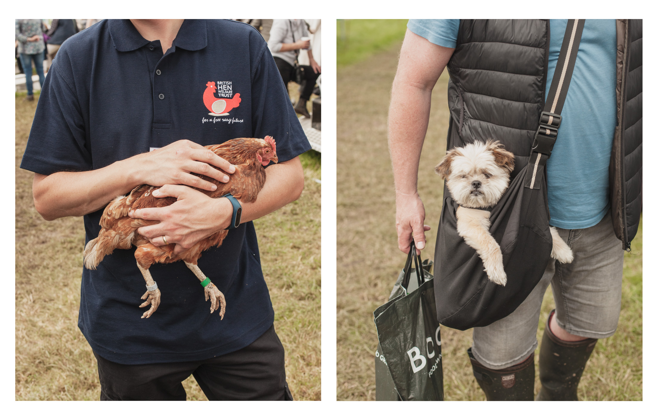 Royal Cheshire County Show Photos 2019 VICE