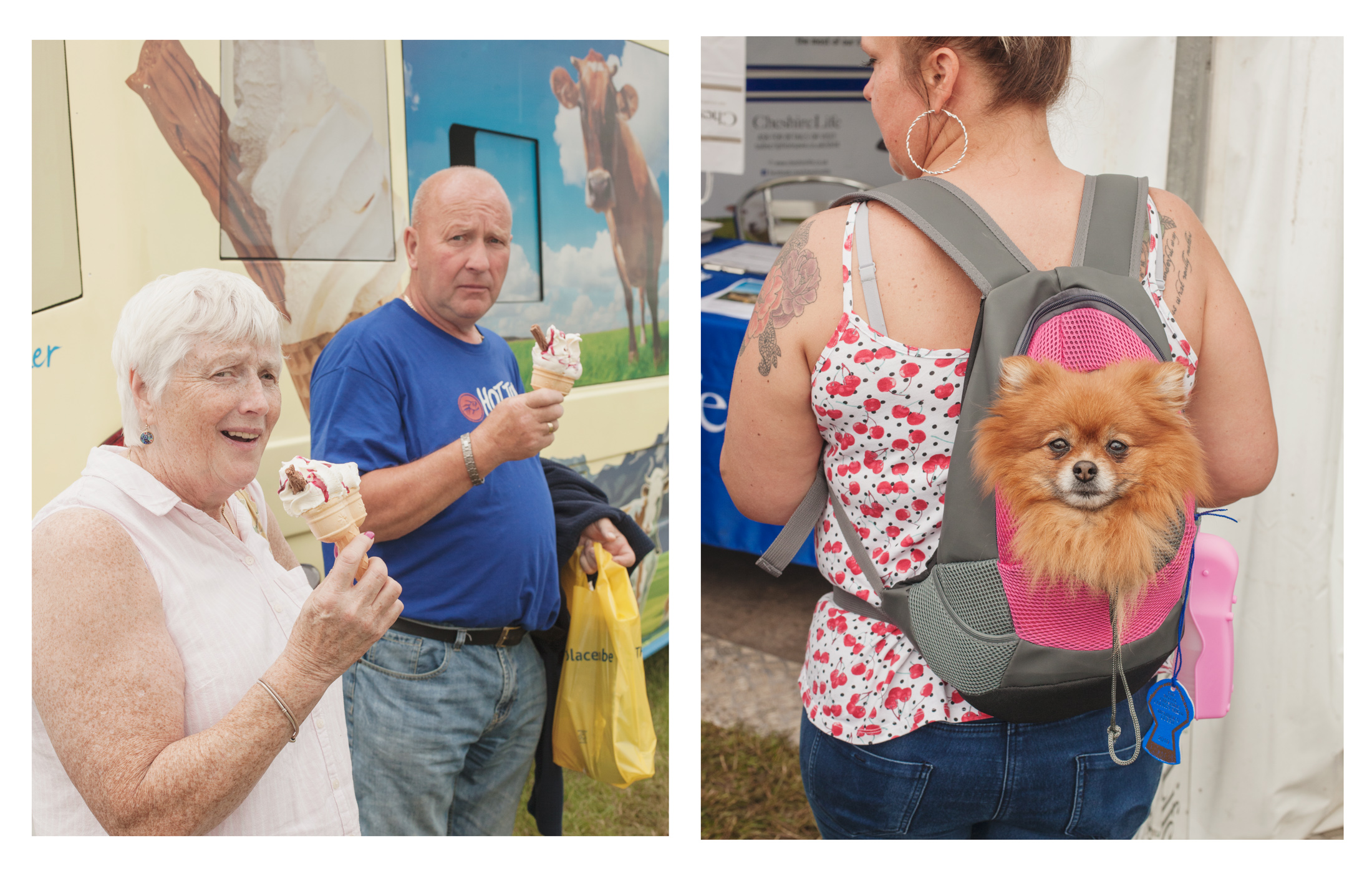 royal cheshire county show