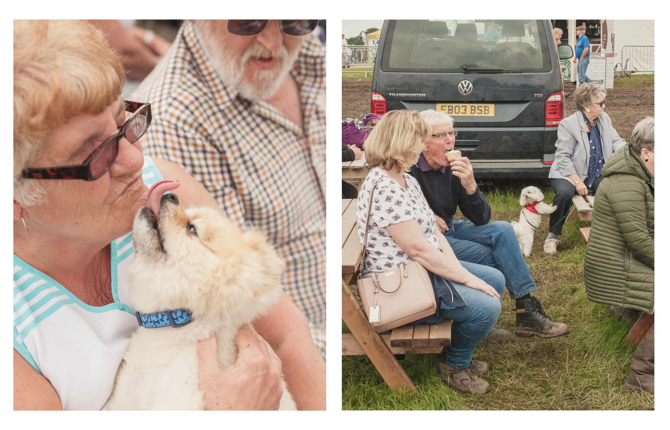royal cheshire county show