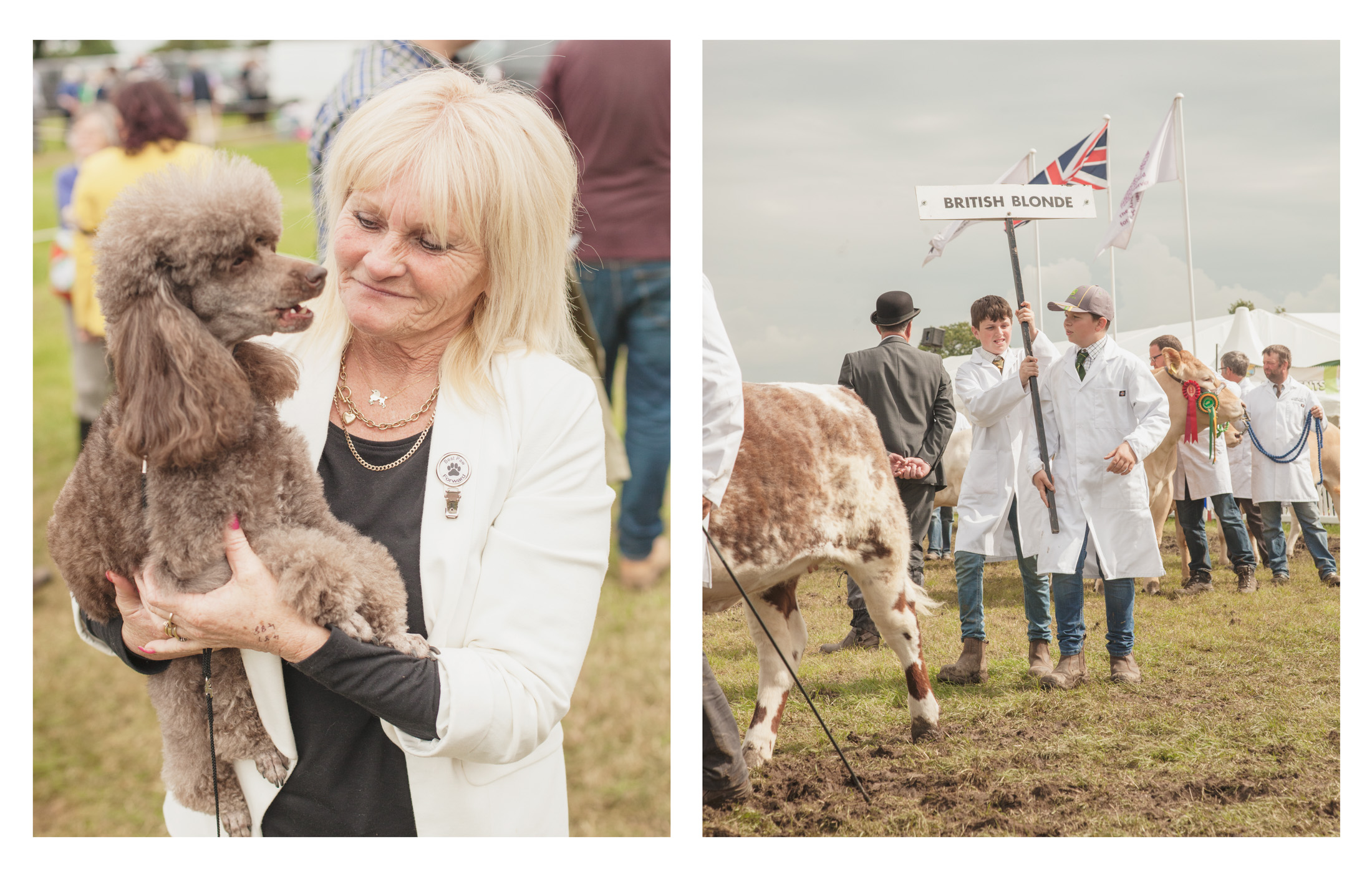 royal cheshire county show