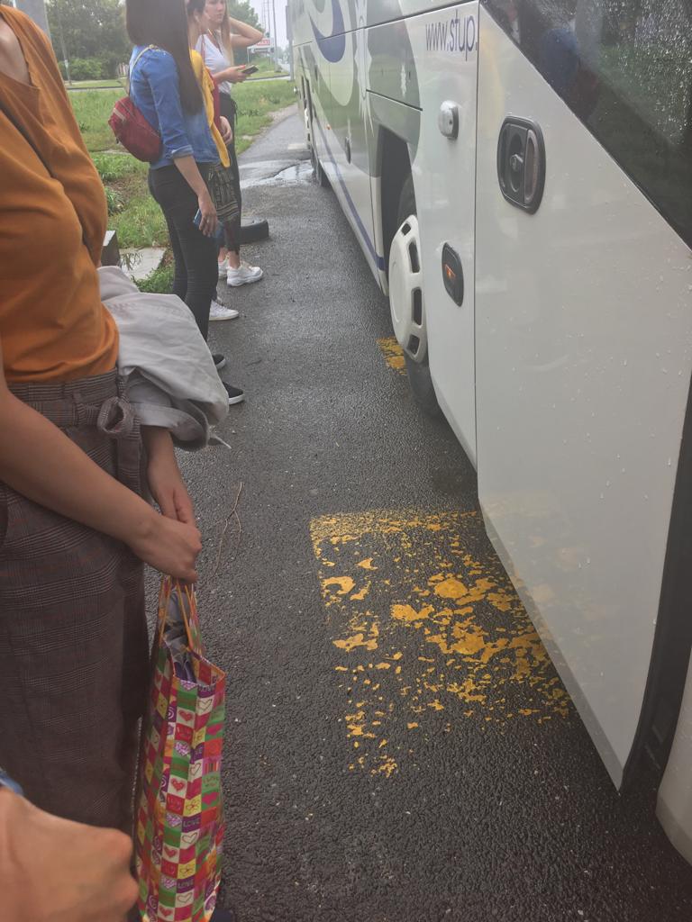 vršački autobus