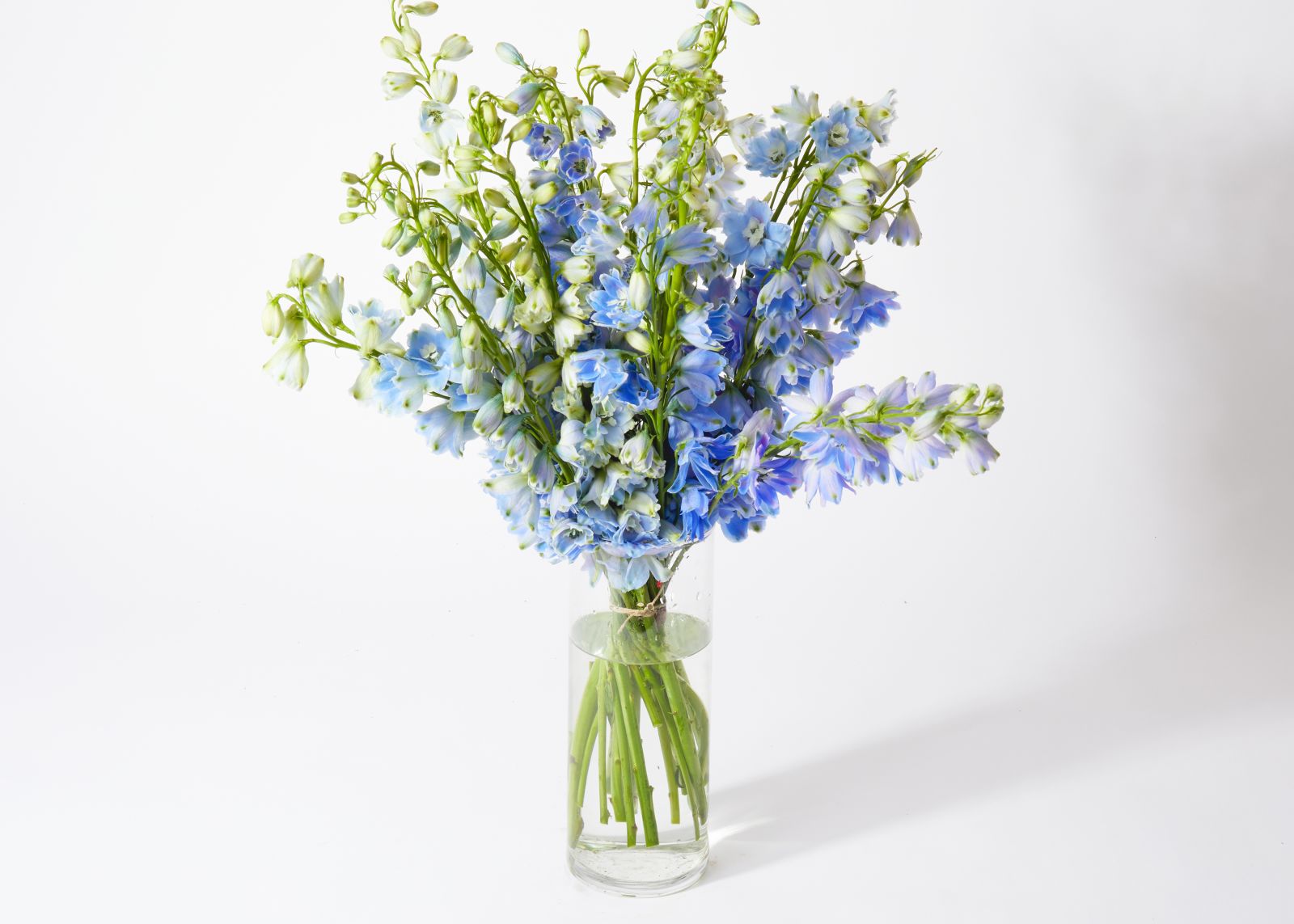 Bouquet of blue flowers