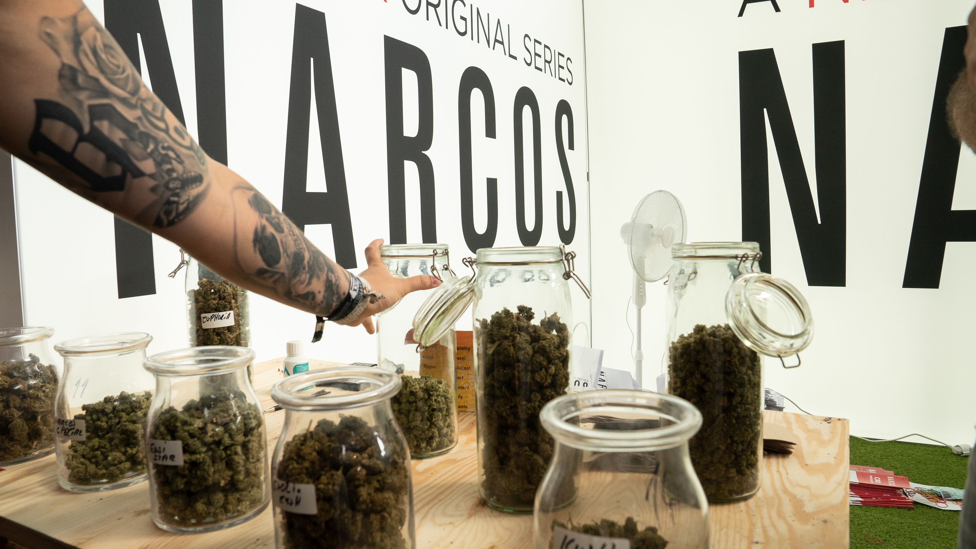 1561725484683-MaryJane-7
