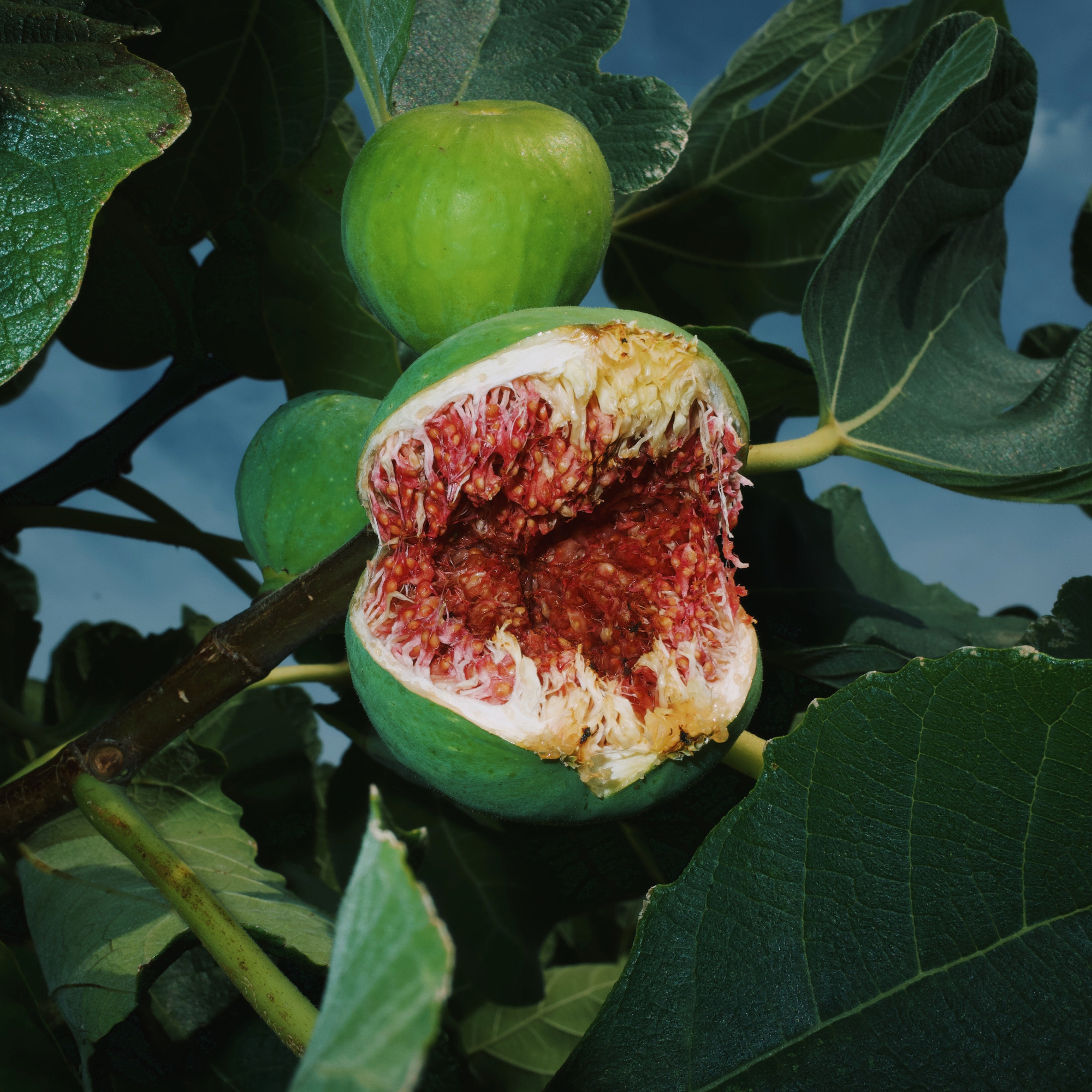 fotografia_piero_percoco_estate