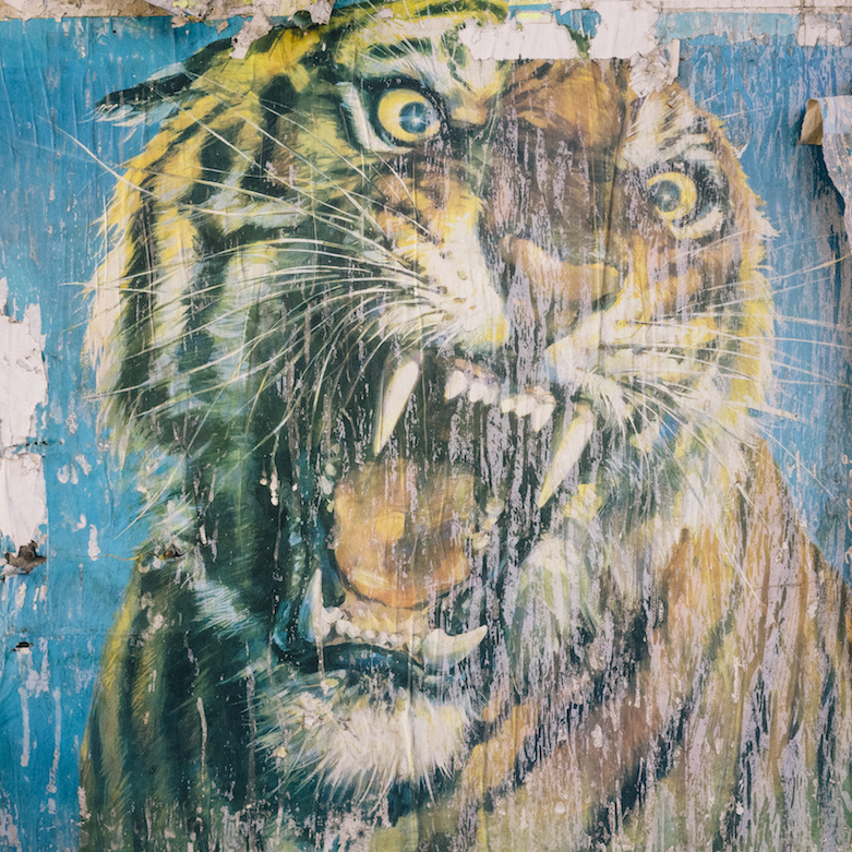 1562233125931-tigerfotografia_piero_percoco_estate