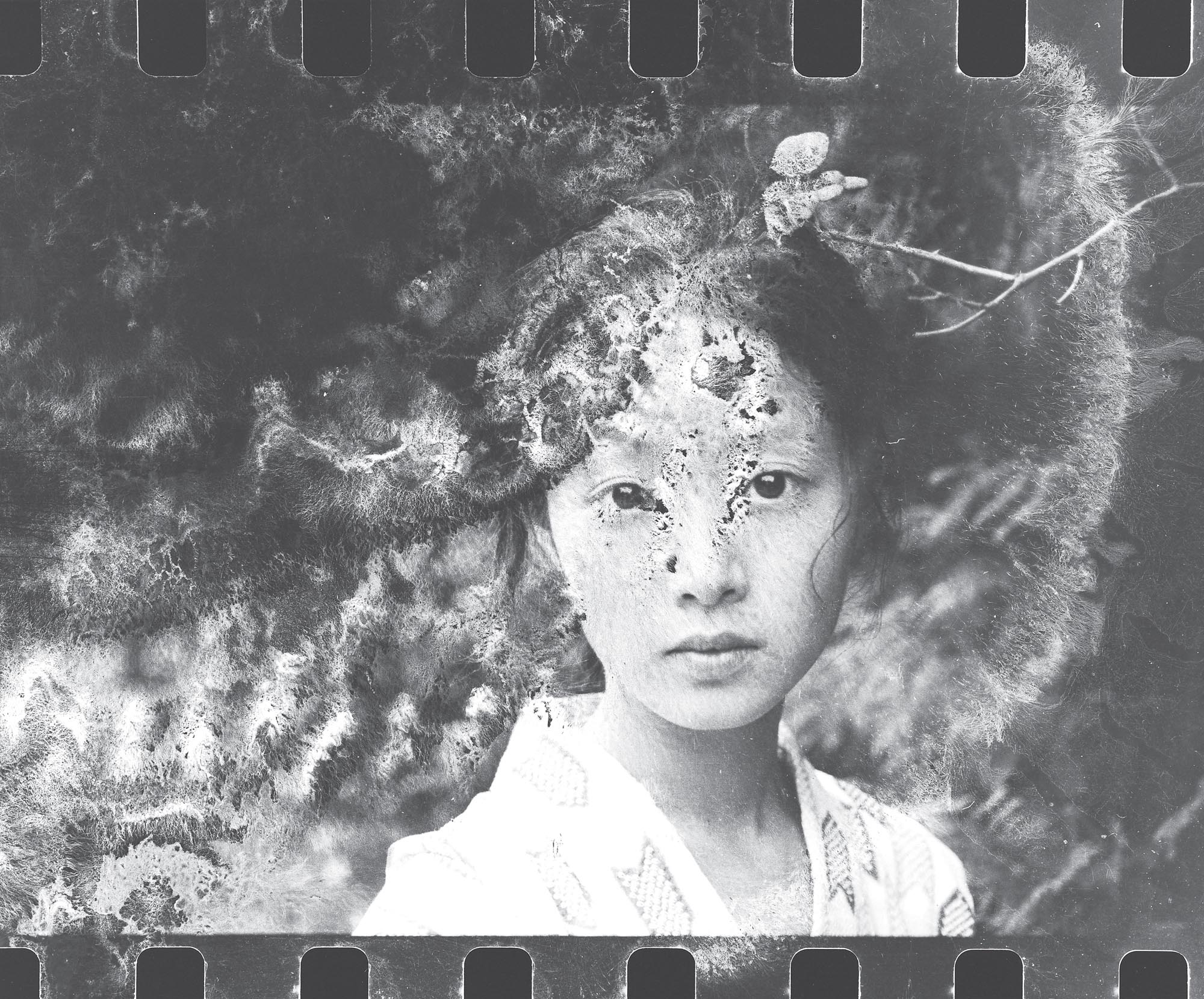 1562578234387-7-Dead-Reality-1977-cNobuyoshi-Araki