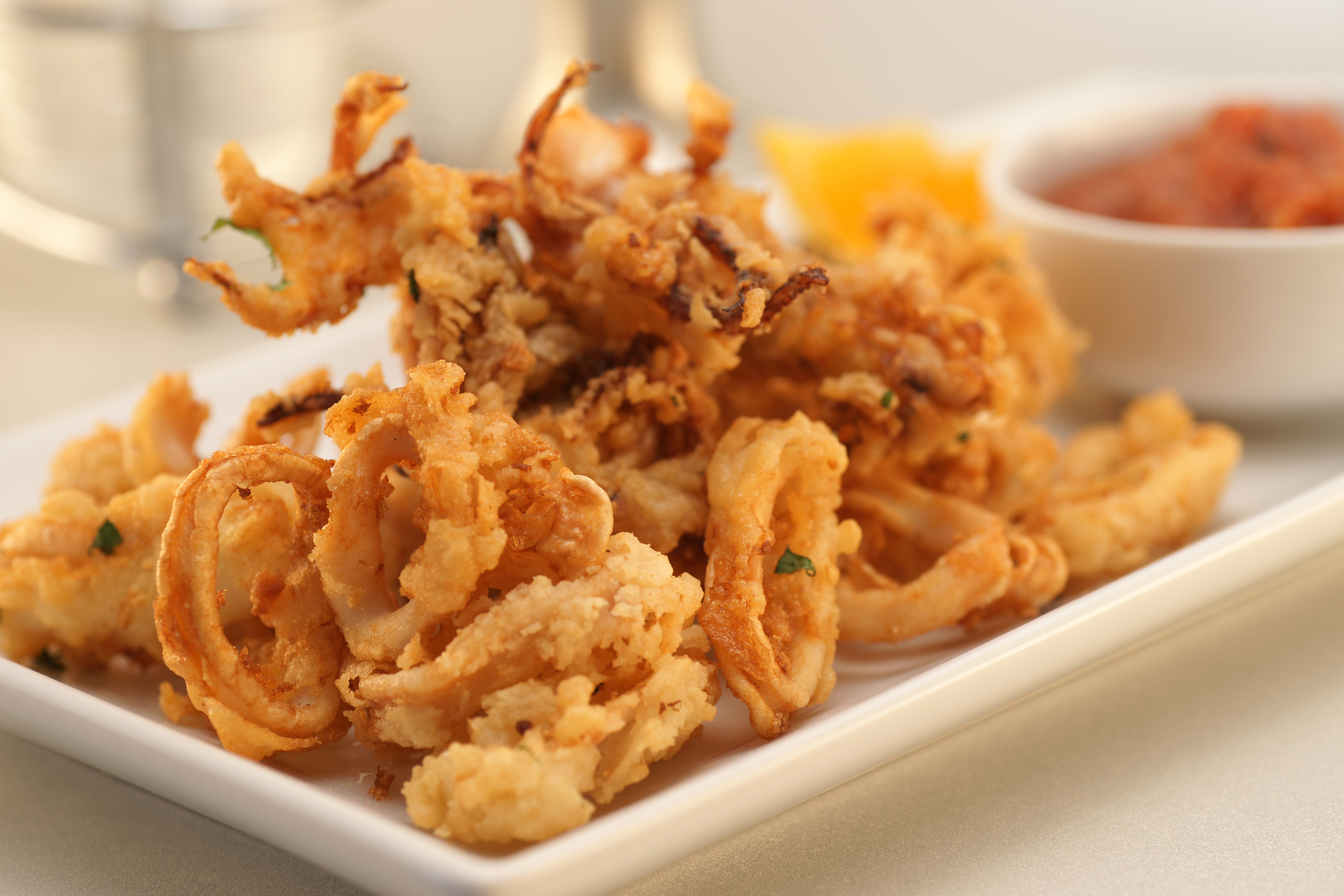 a white plate with fried calamari and marinara sauce