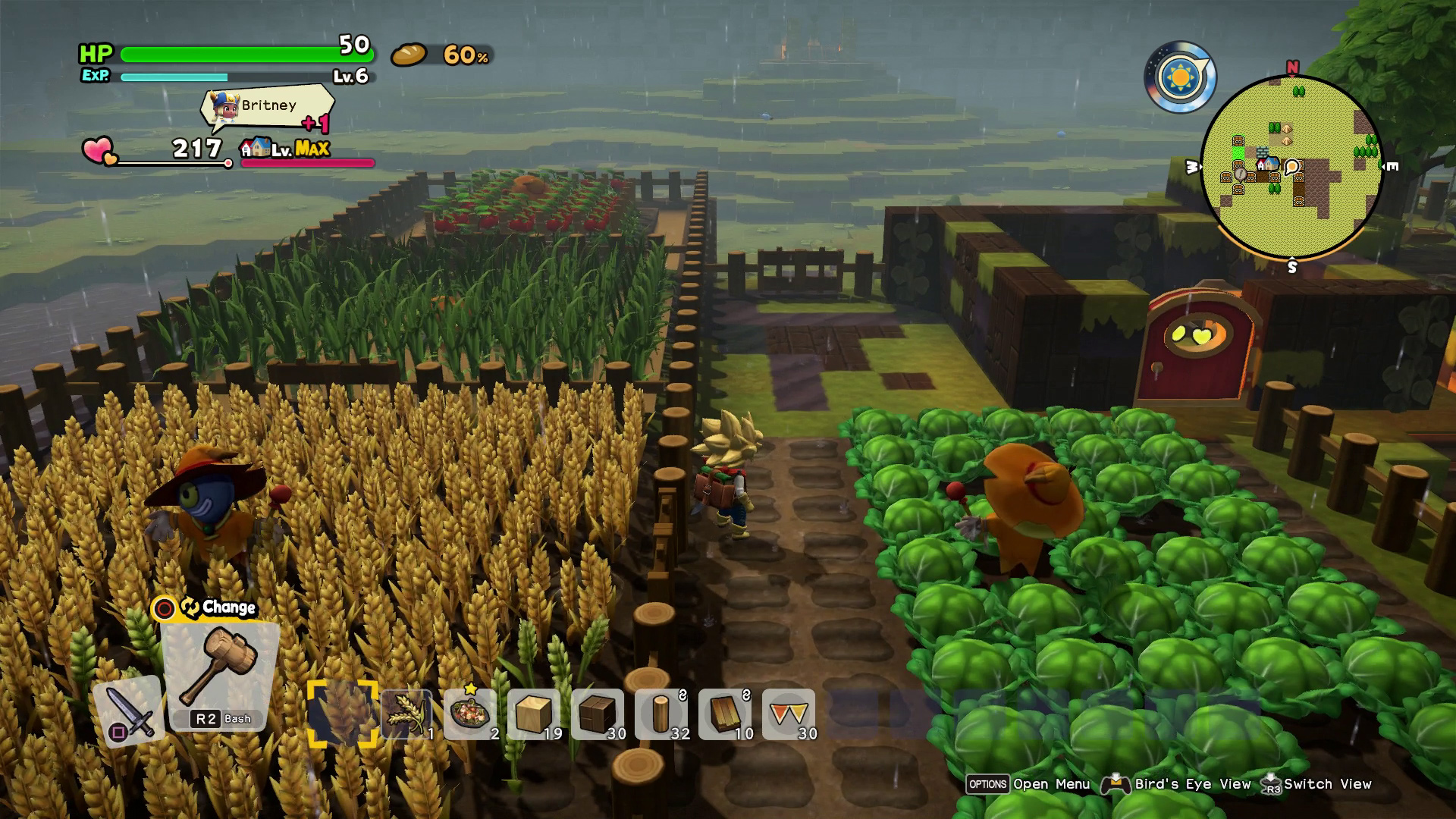 Dragon Quest Builders 2 - Farm