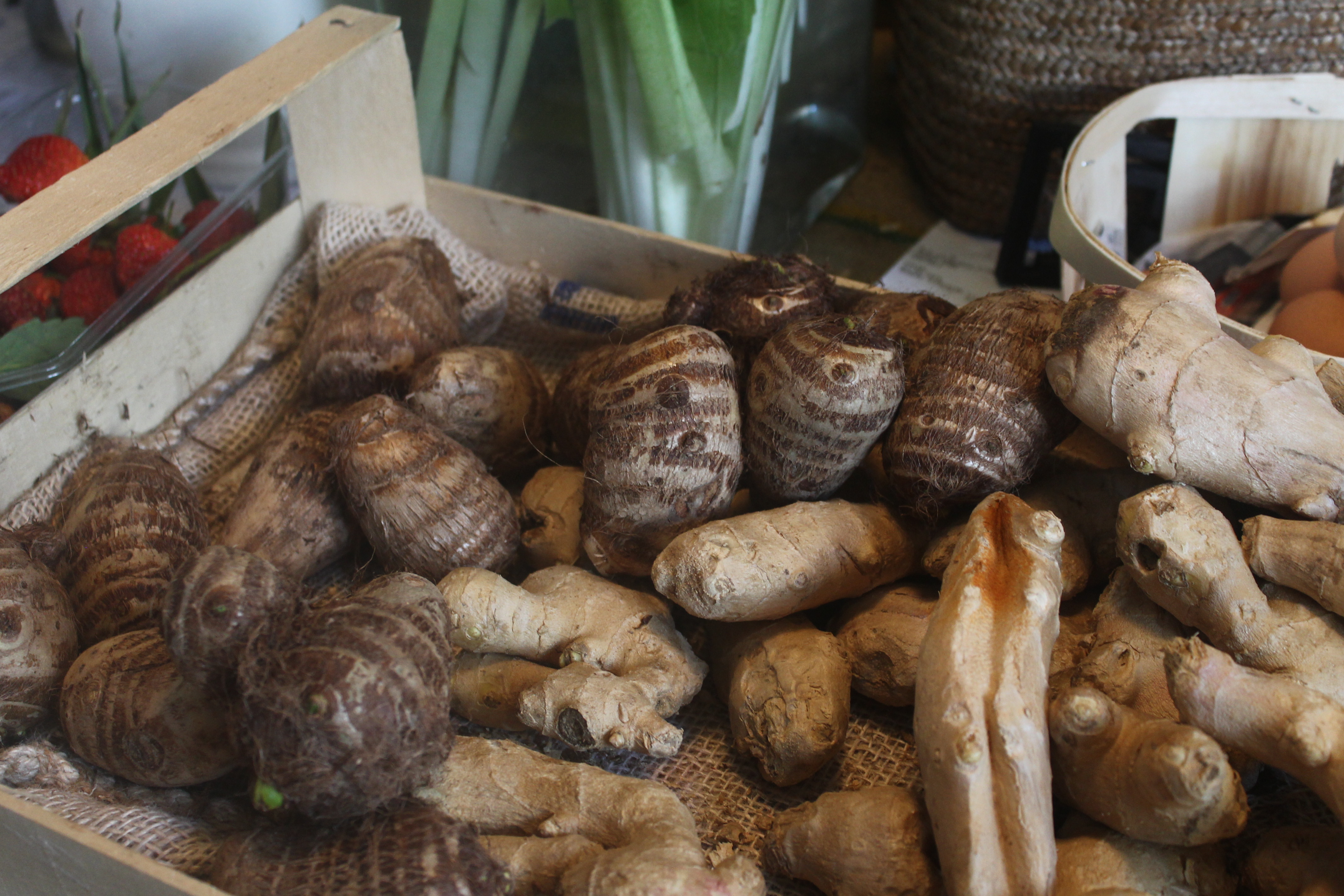 Taro prodotto in Italia