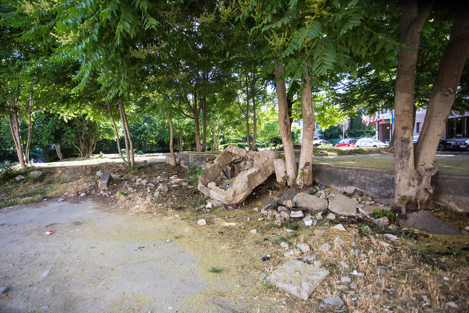 constanta