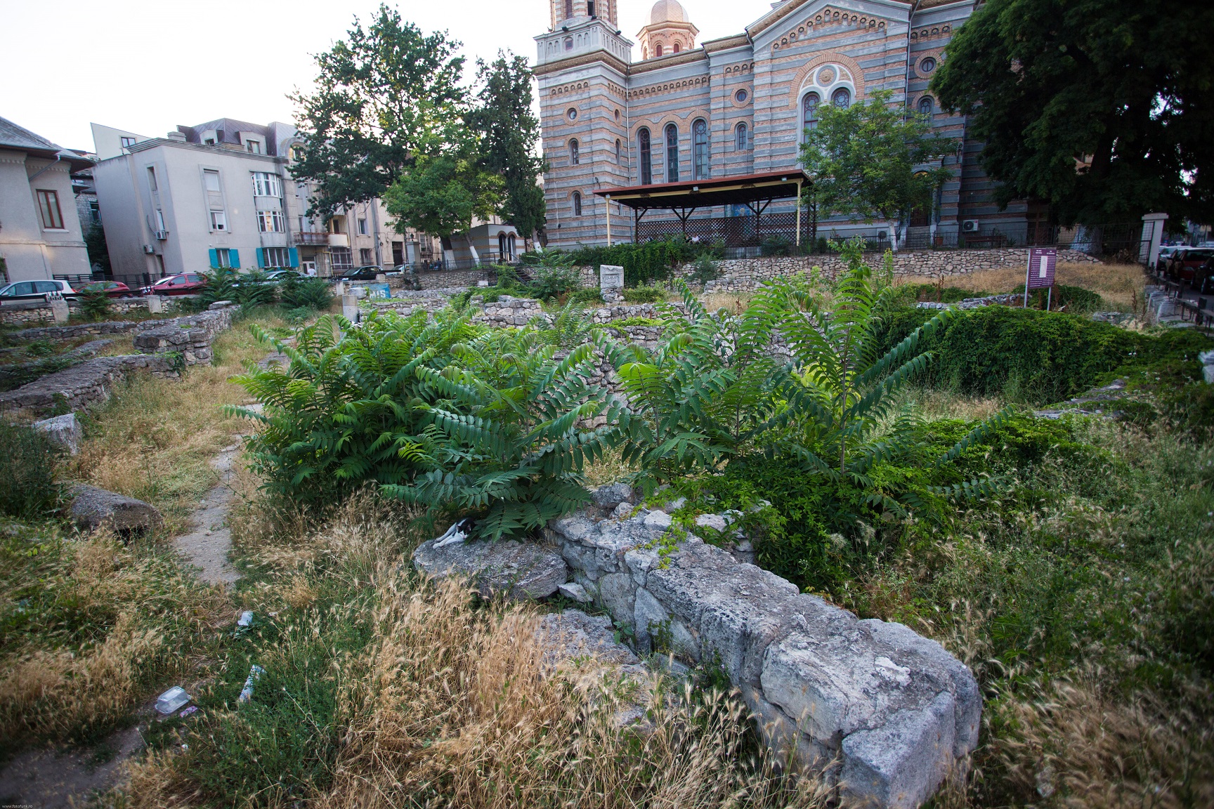 constanta