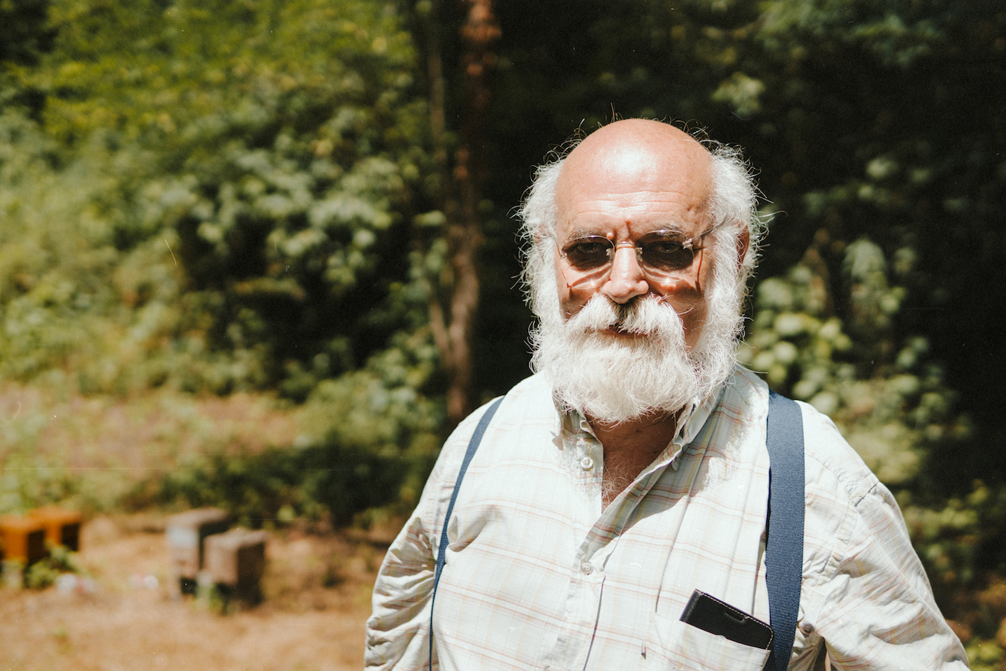 Massimo-Carpinteri