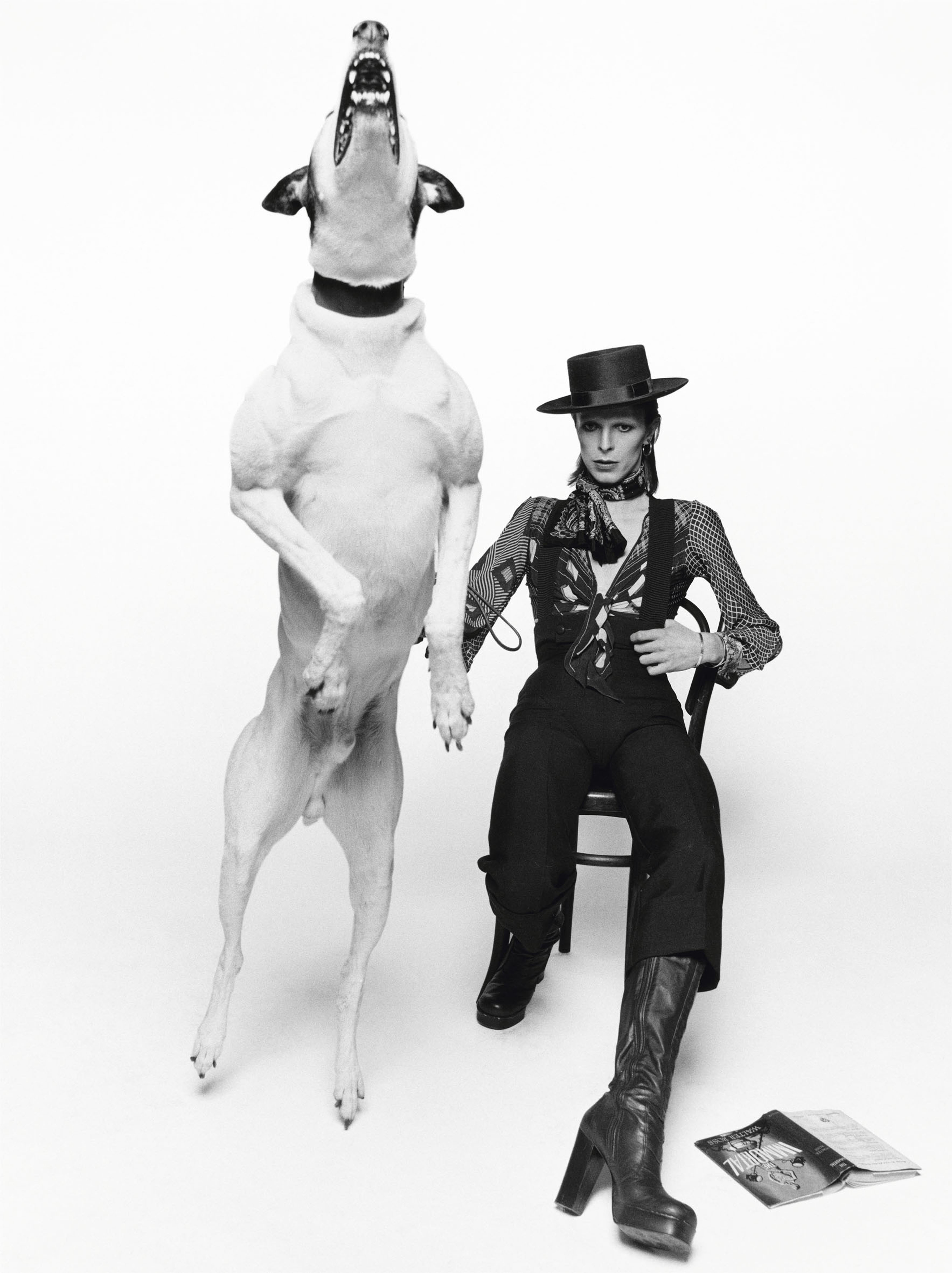 David Bowie in posa per il suo album Diamonds Dogs / Londra, 1974 / 91 x 73 cm © Terry O'Neill