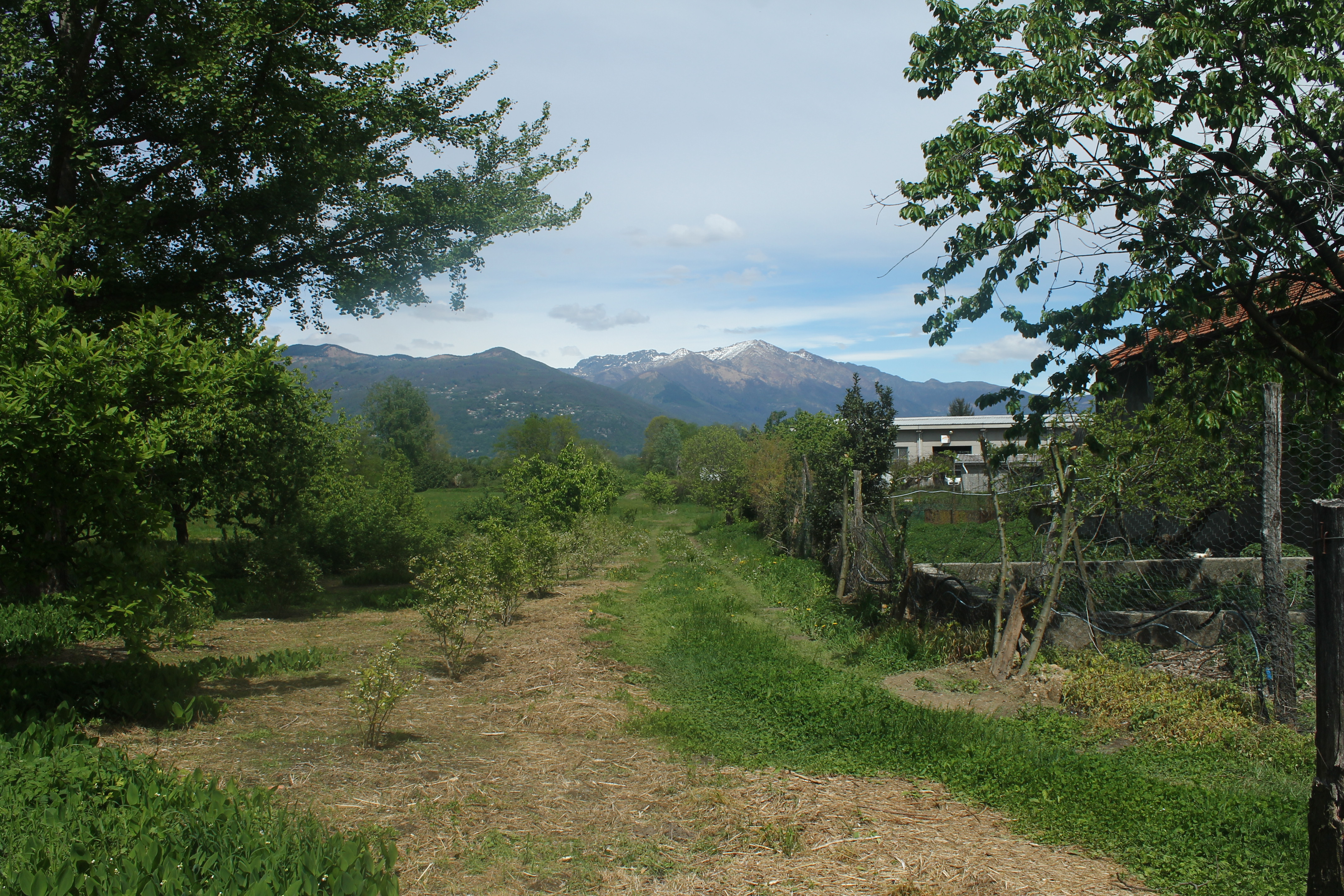 Montagne