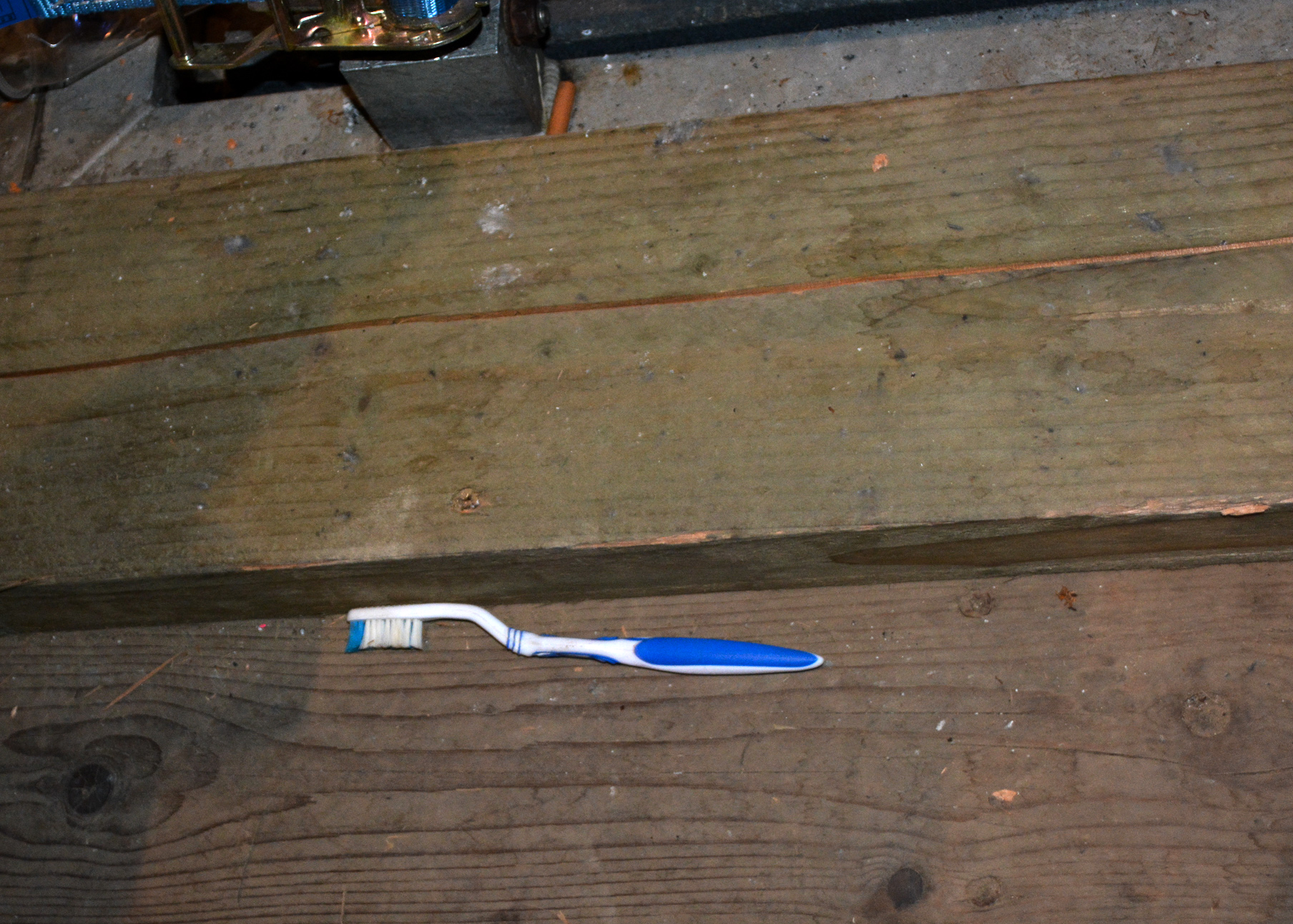 1563444480939-BROSSE-A-DENT-MEC