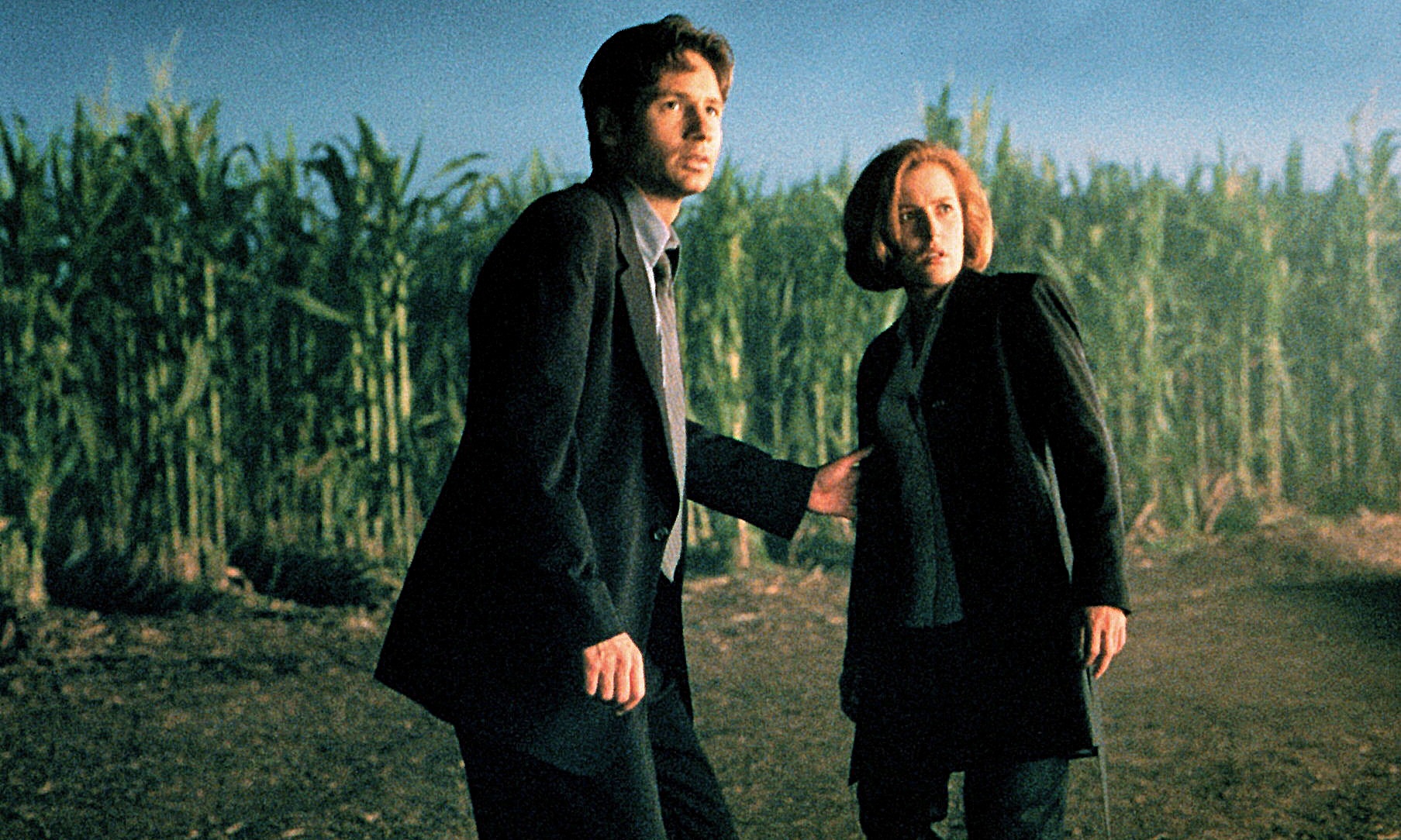 Mulder and Scully in a cornfield