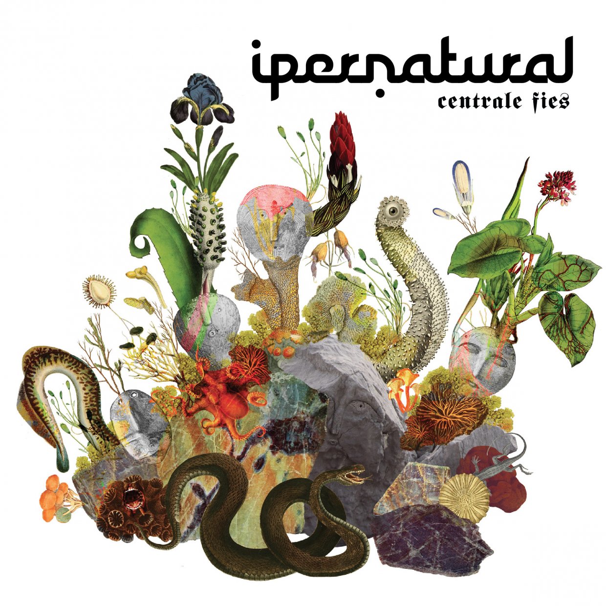 Ipernatural Festival