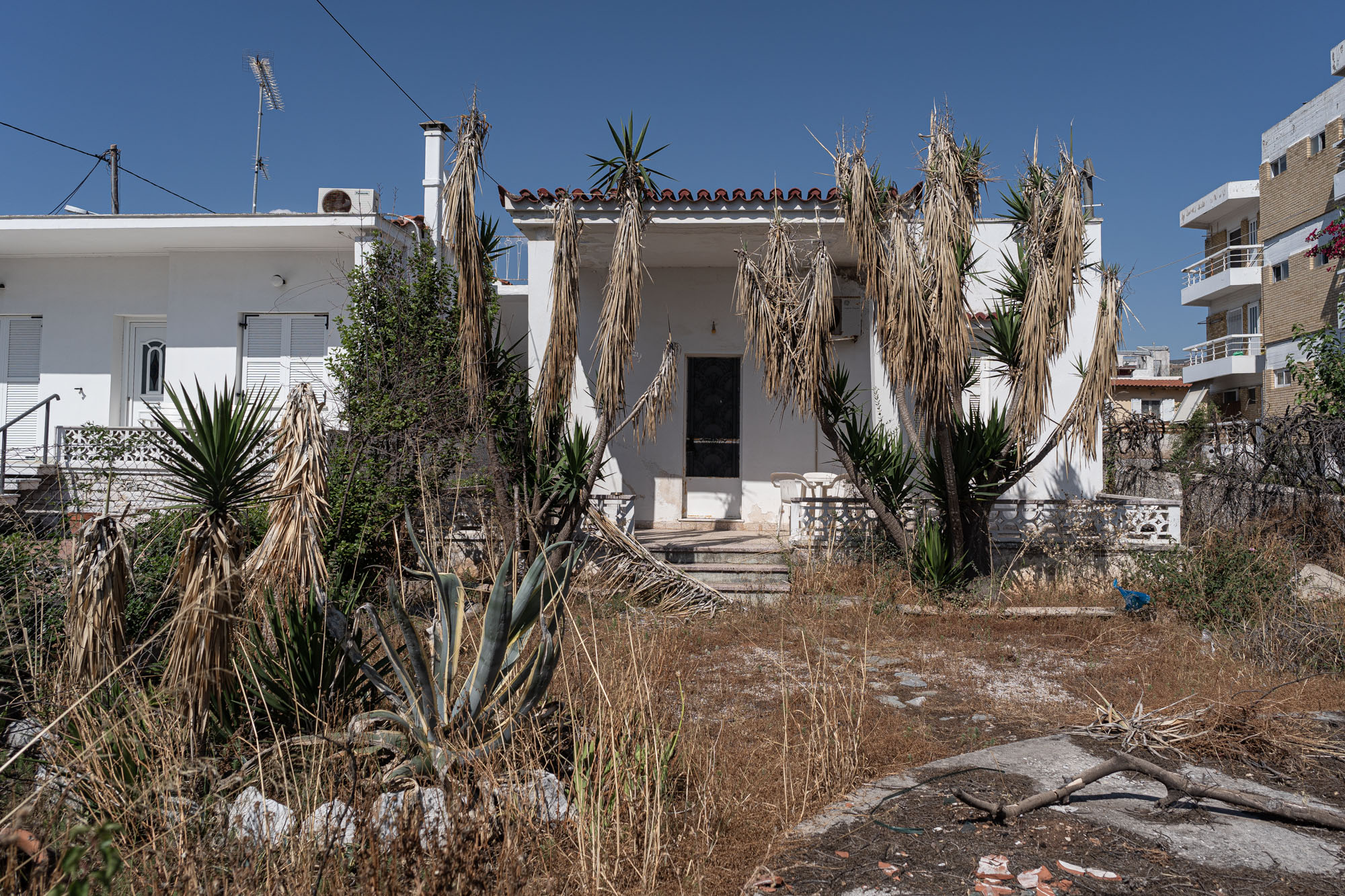 1563786200657-Mati_1_year_Seferoglou19