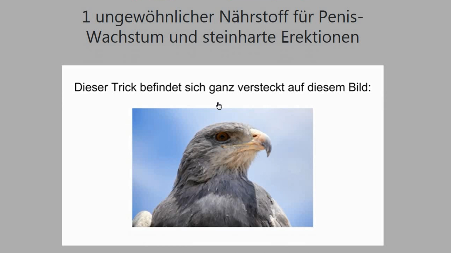 Eine unseriöse Werbung auf einer Pornoseite