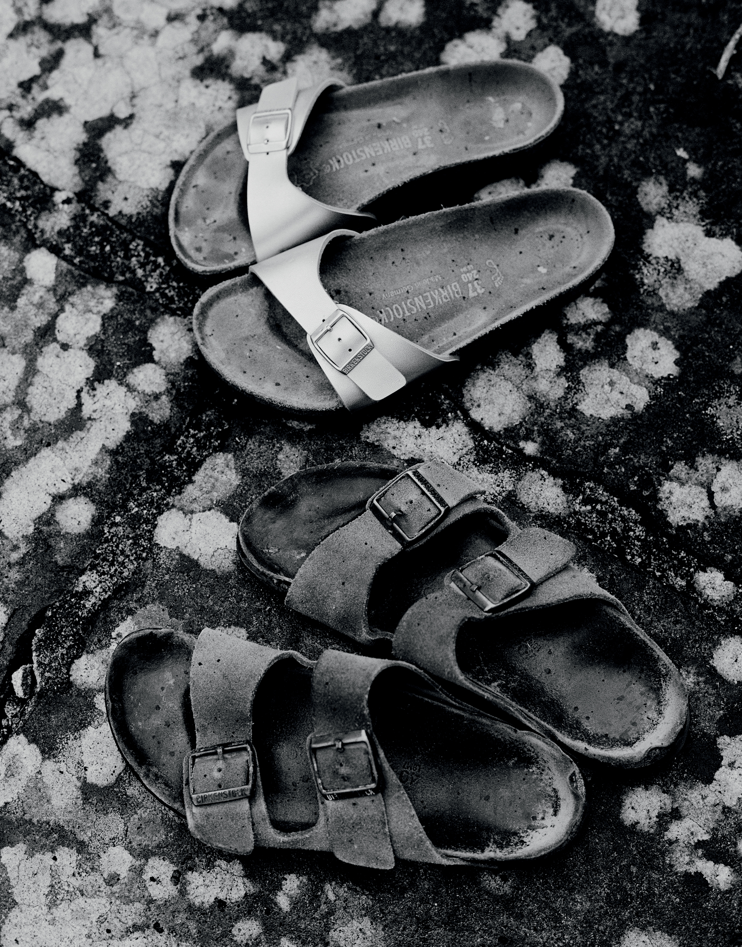 birkenstock id