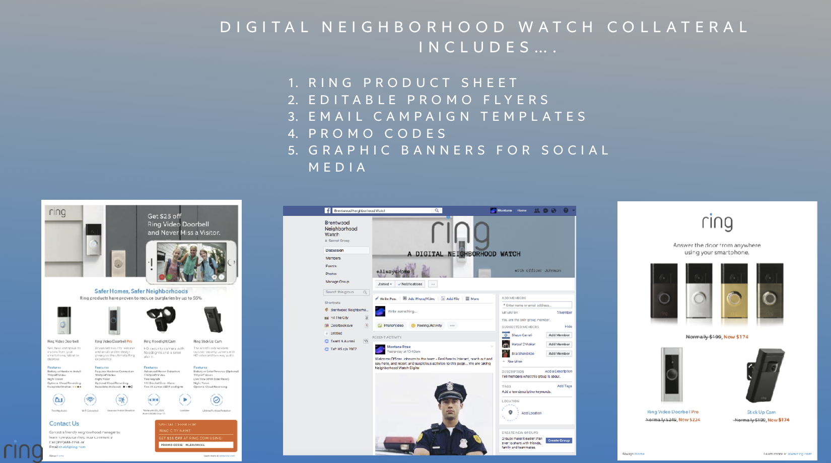 Image: Slide 12 of the Digital Neighborhood Watch document obtained by Motherboard.