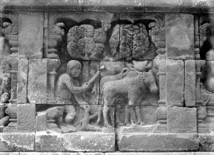 1565971570819-COLLECTIE_TROPENMUSEUM_Bas-relief_op_de_Borobudur_TMnr_10027564