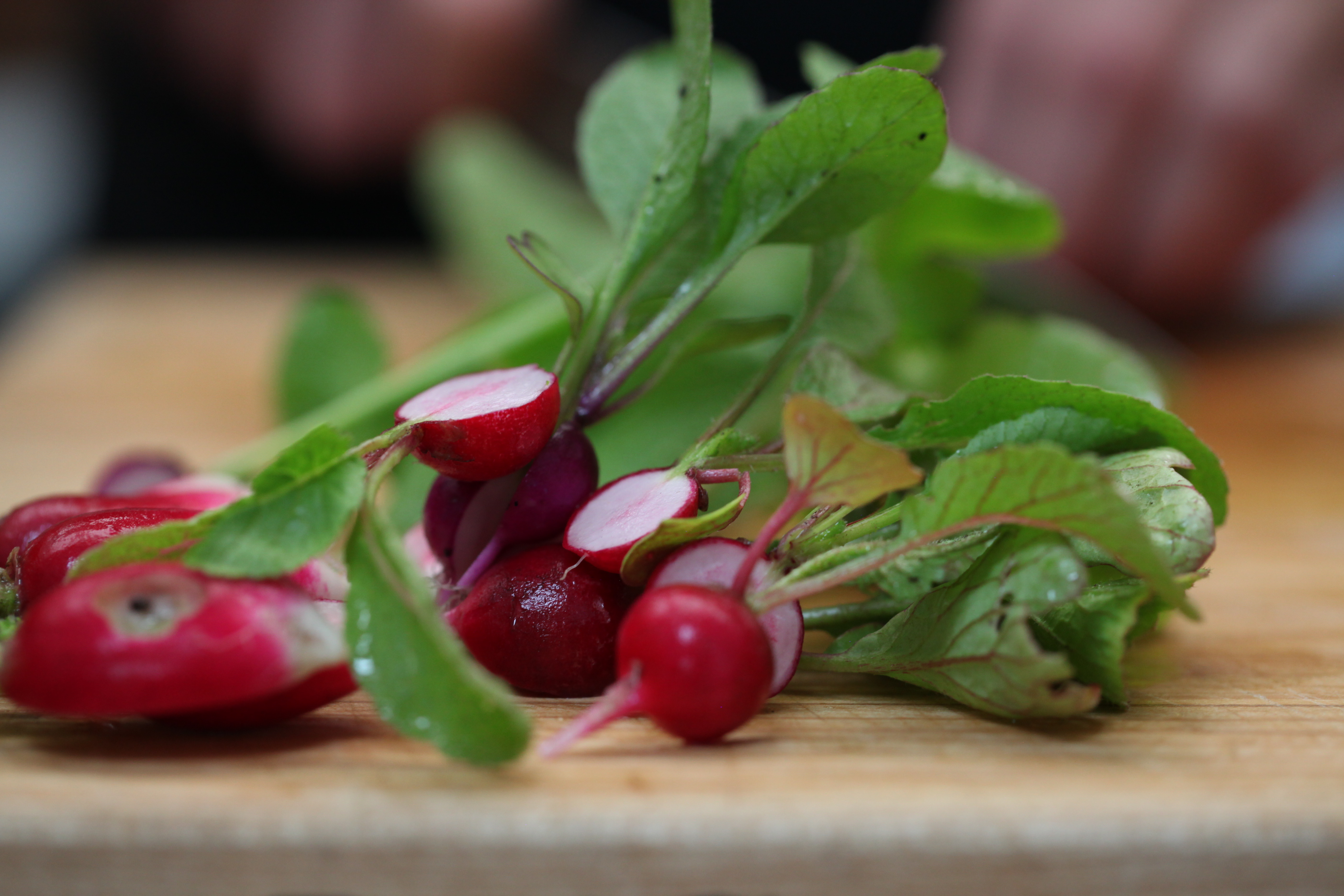 1566422062115-IMG_2085-radishes-munchies-rooftop-garden