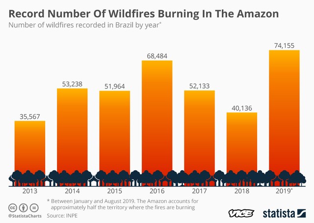 Image result for Feeling Sad About the Amazon Fires? Stop Eating Meat