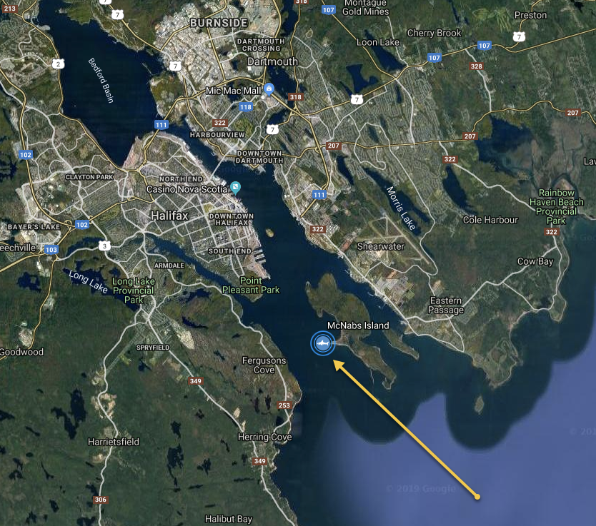 Great White Jane was spotted in Halifax Harbour on July 23.