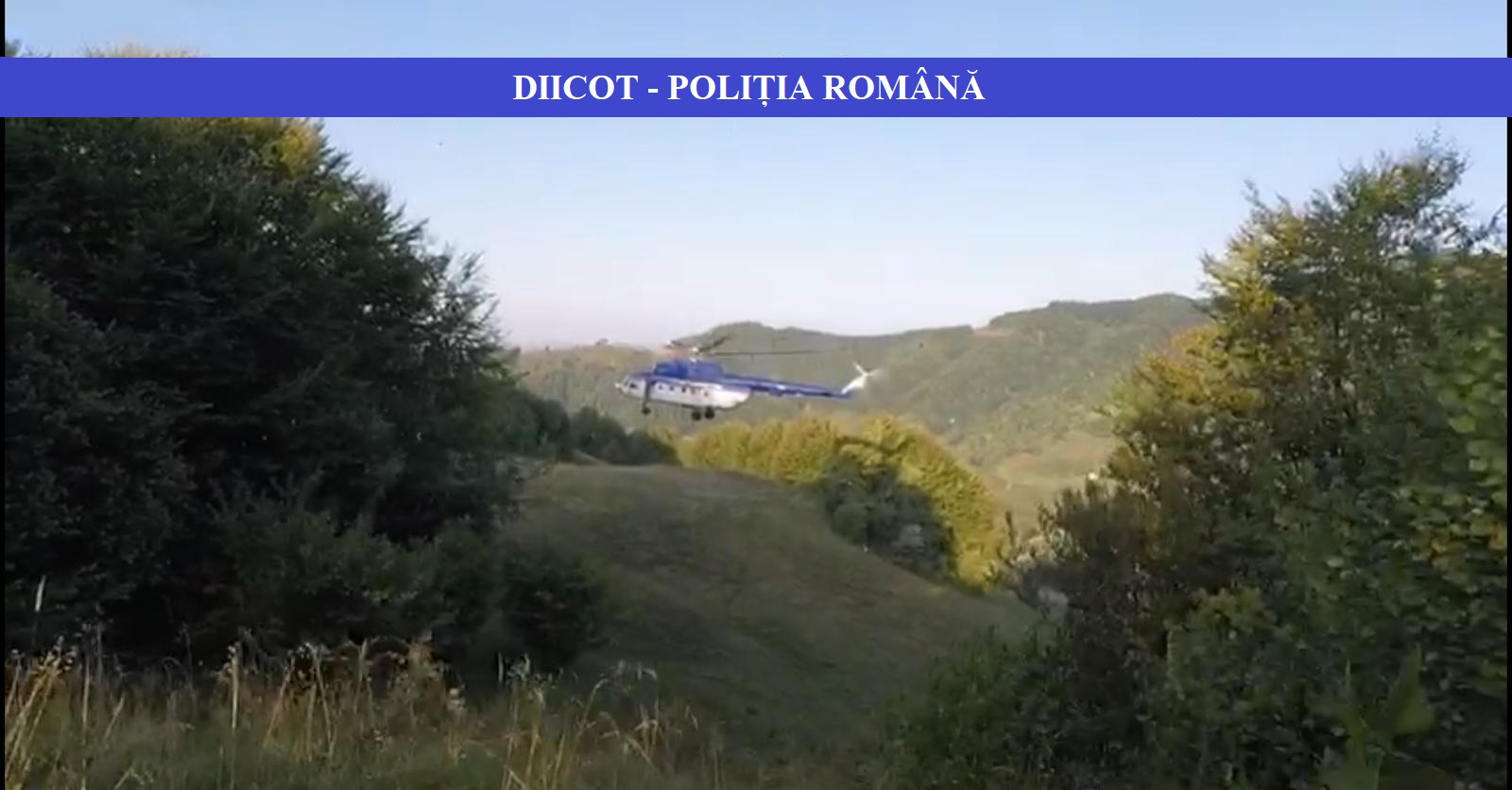 diicot